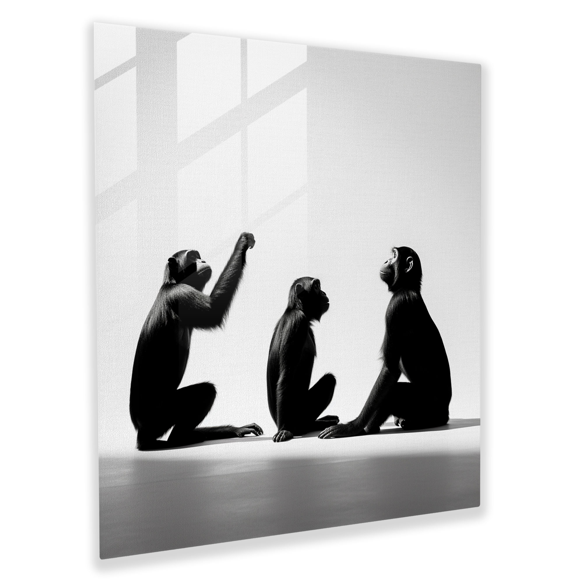 Glasbild mit Affen-Silhouetten - Minimalistisches und verspieltes Design mit Affenmotiven Glas-Kunst