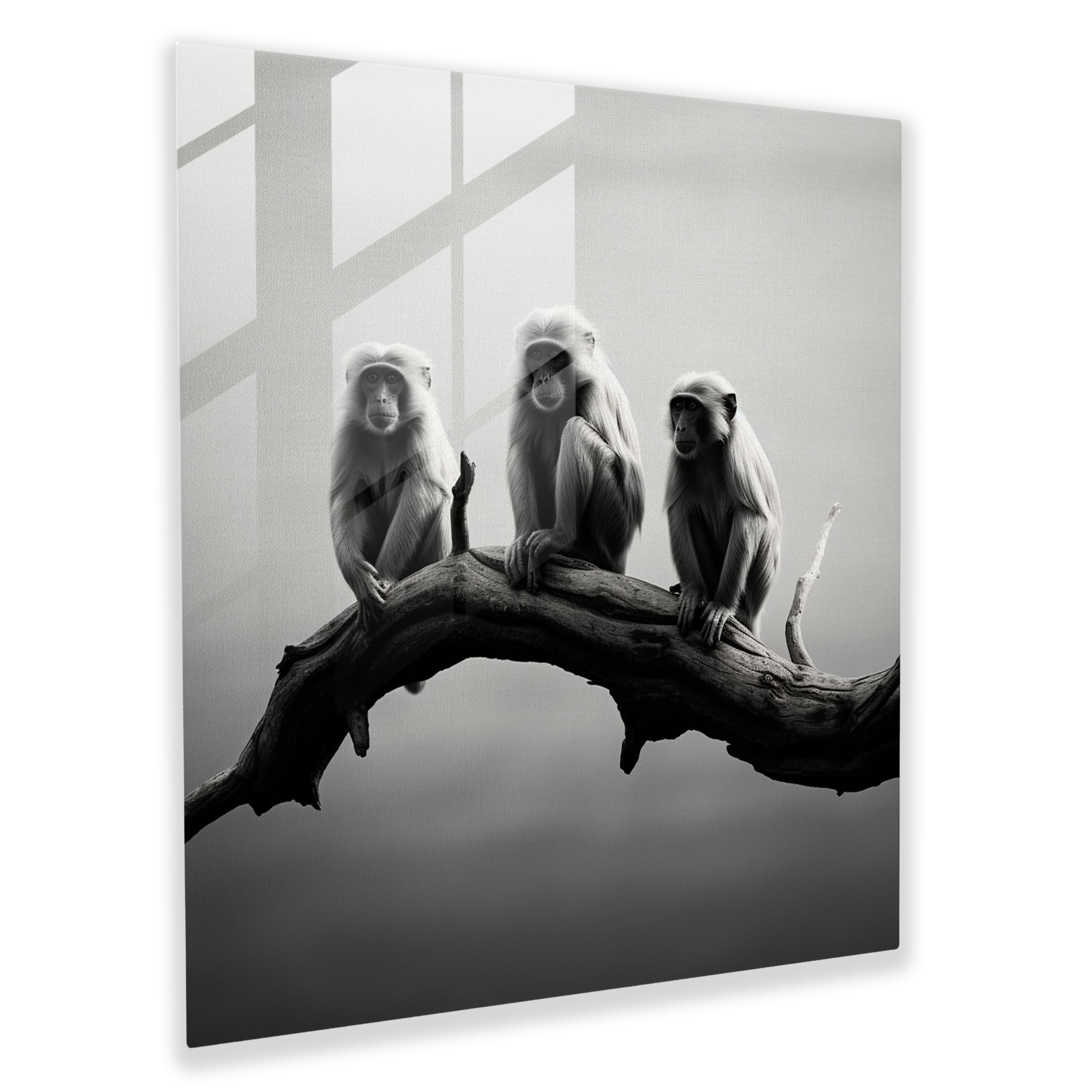 3 Monkey Glass Print - 3 Monkey, Minimalistic Photography, Glass Print, Wall Decoration