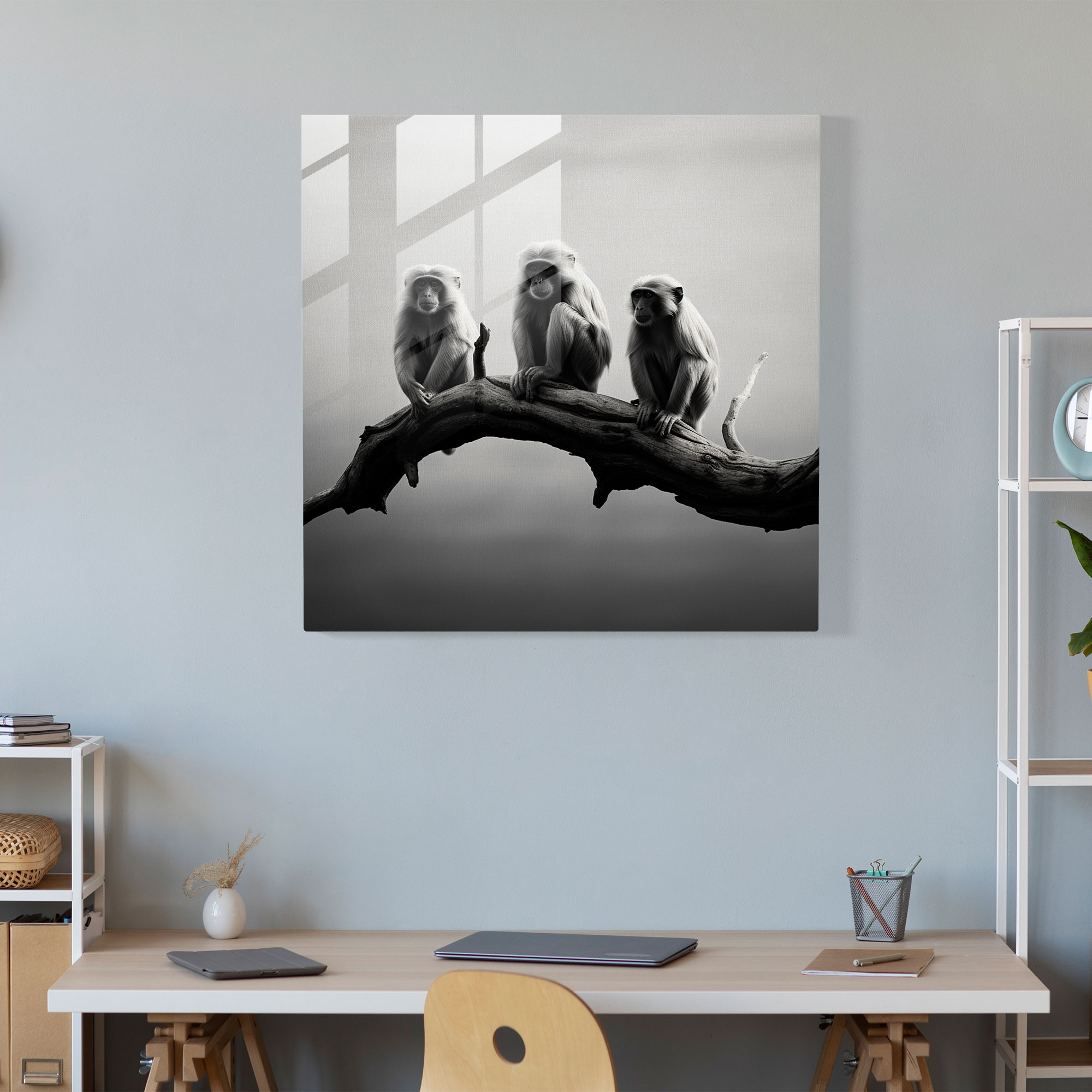3 Monkey Glass Print - 3 Monkey, Minimalistic Photography, Glass Print, Wall Decoration