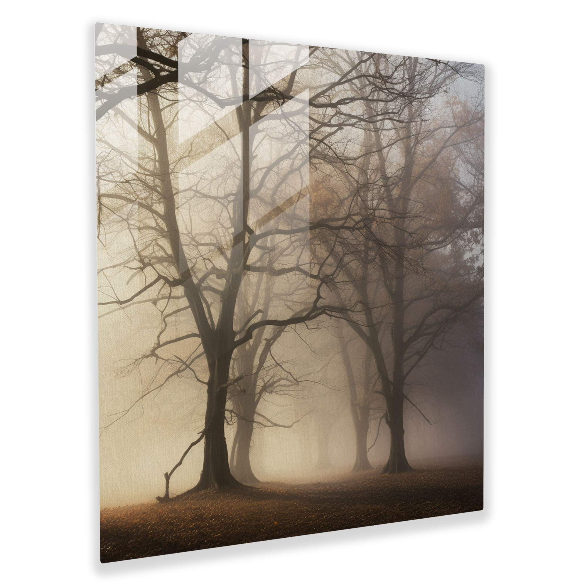 Autumn Enigma Glass Print - Autumn, Glass Art, Glass Wall Art, Home Decoration
