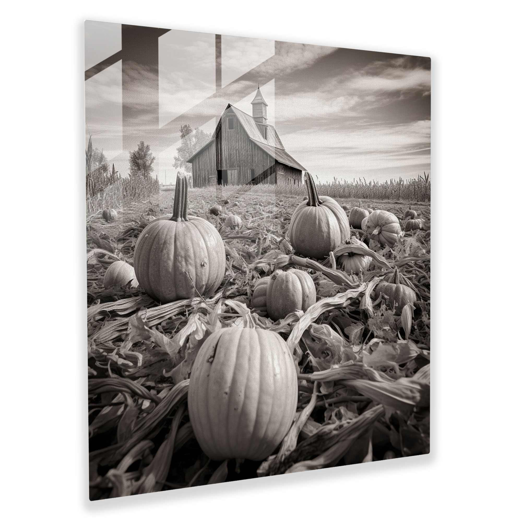 Autumn Harmony Glass Print - Autumn, Glass Print, Monochrome Photograph, Glass Wall Art