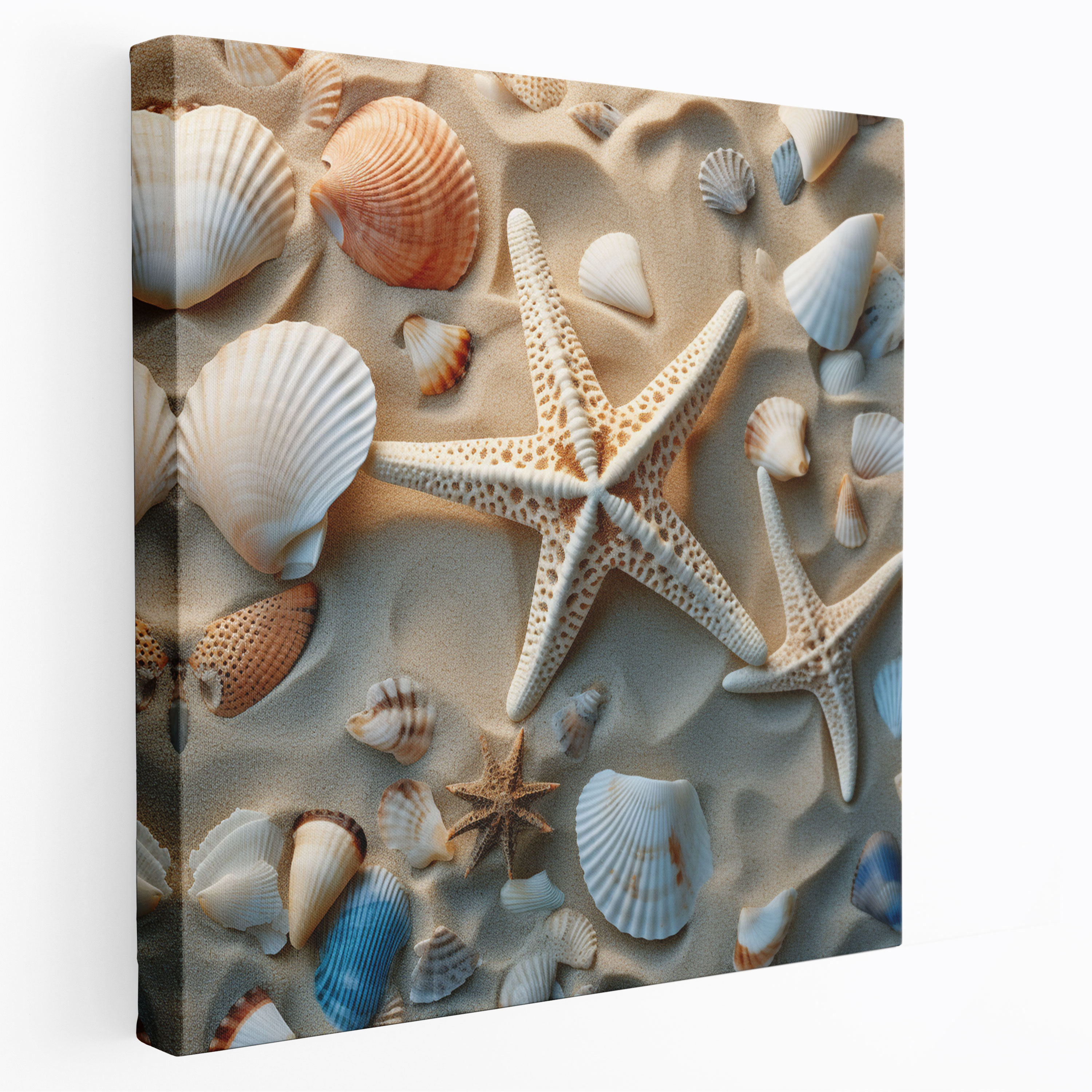 Seashell Photography Wall Art - Beach, Sandy Beach, Seashells, Seashell Photography Wall Art