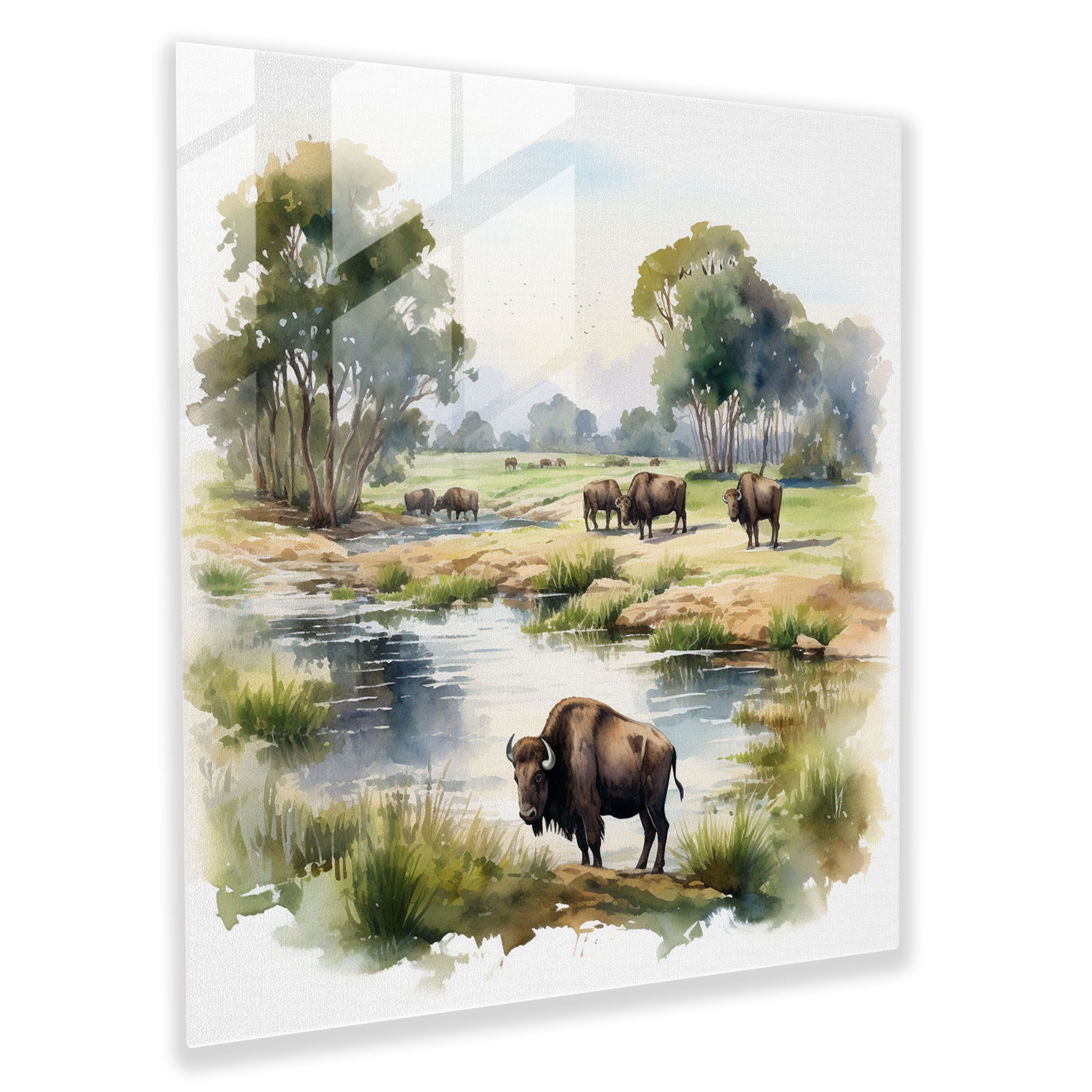 Serene Buffalo Glass Print - Buffalo, Home Decoration, Serene Buffalo Glass Print, Wall Decoration