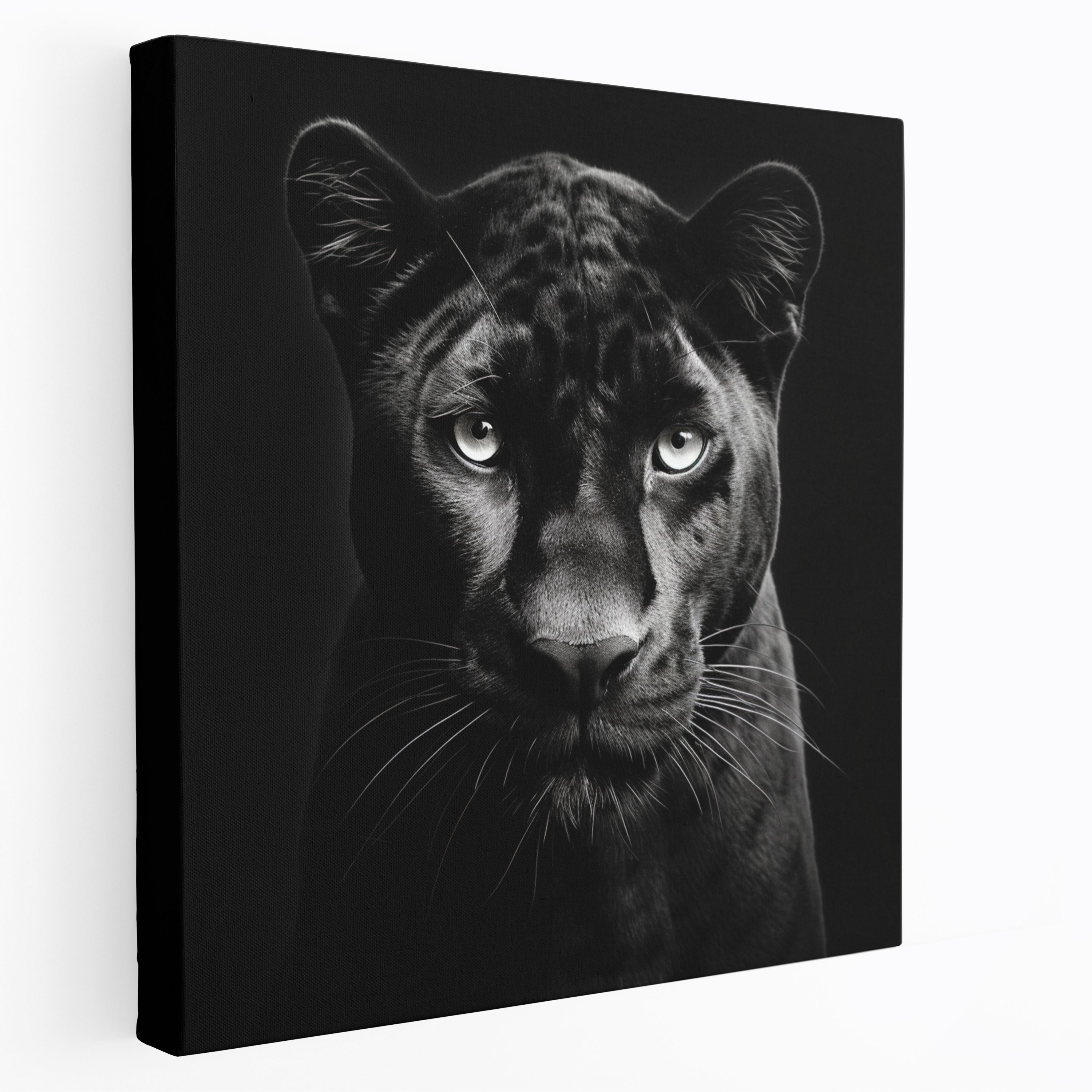 Black Panther Canvas Print - Black Panther, Grace, Beauty, Canvas