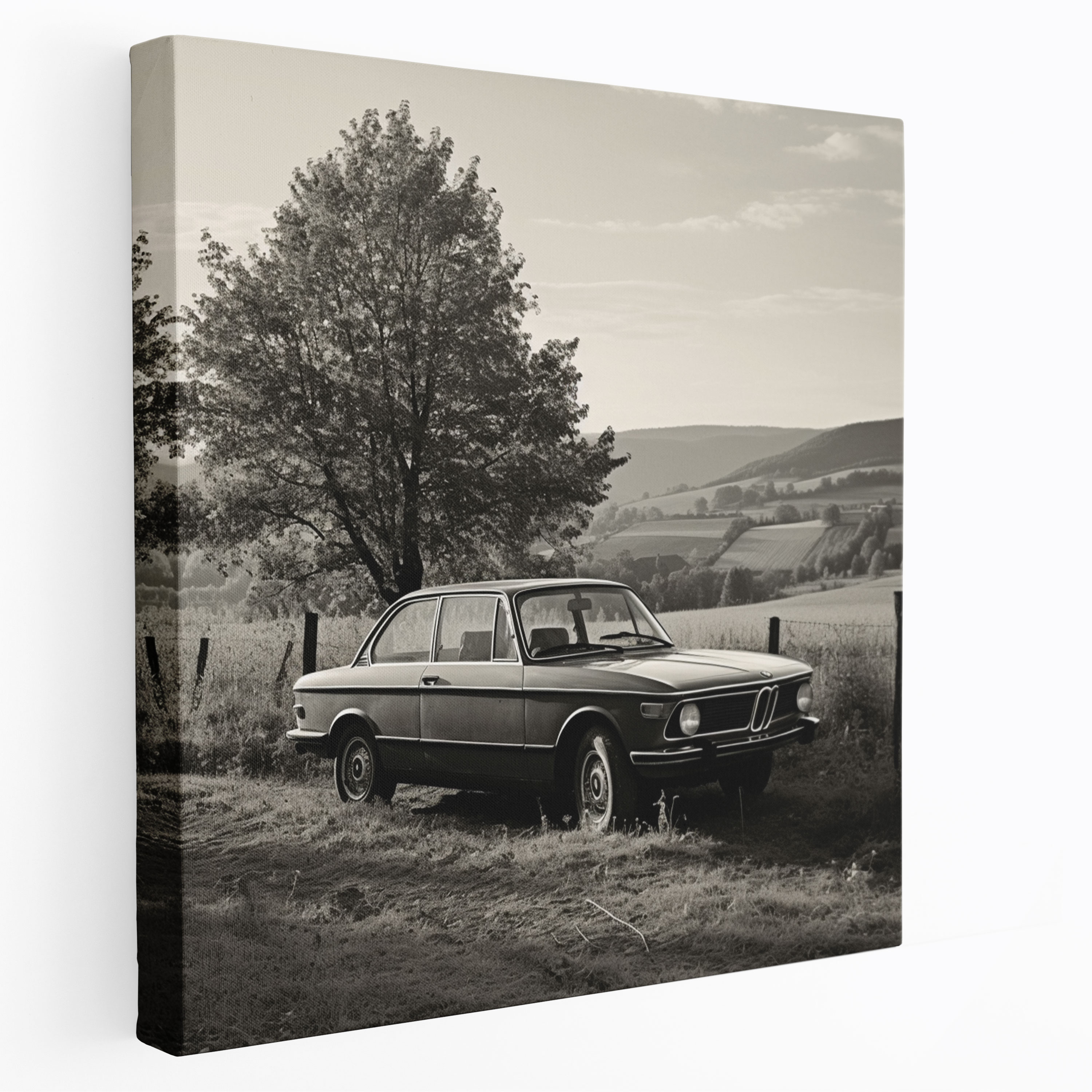 Vintage Bmw Canvas Print - Bmw, Canvas, Picturesque Countryside, Canvas Print