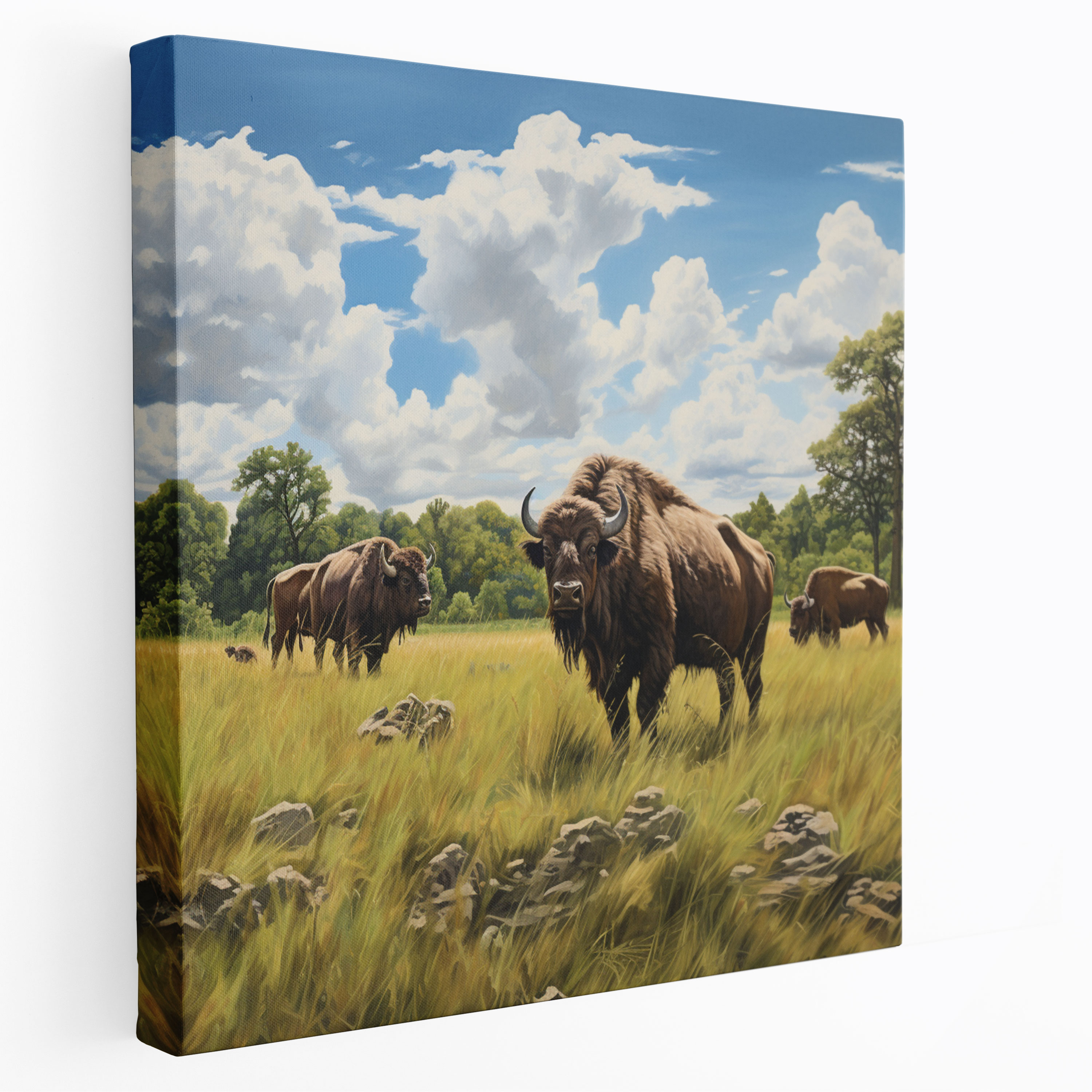 Buffalo Wall Decoration - Buffalo, Oil Painting, Realistic, Buffalo