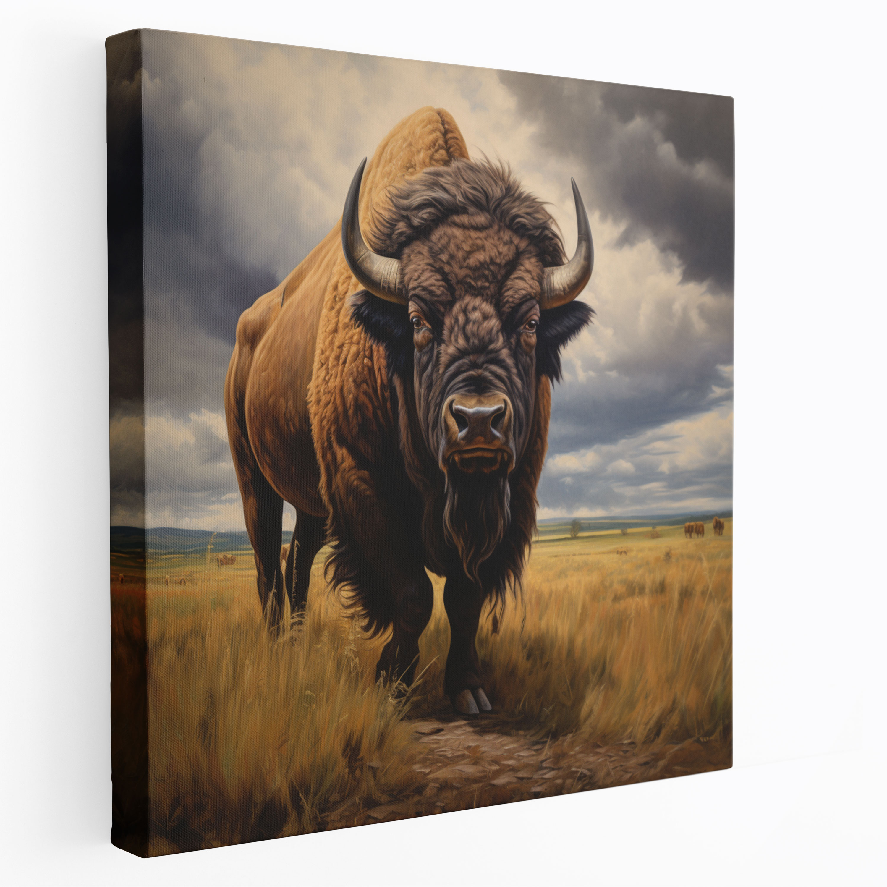 Buffalo Canvas Print - Majestic Bison In Open Field - Buffalo, Wildlife, Buffalo, Wall Art