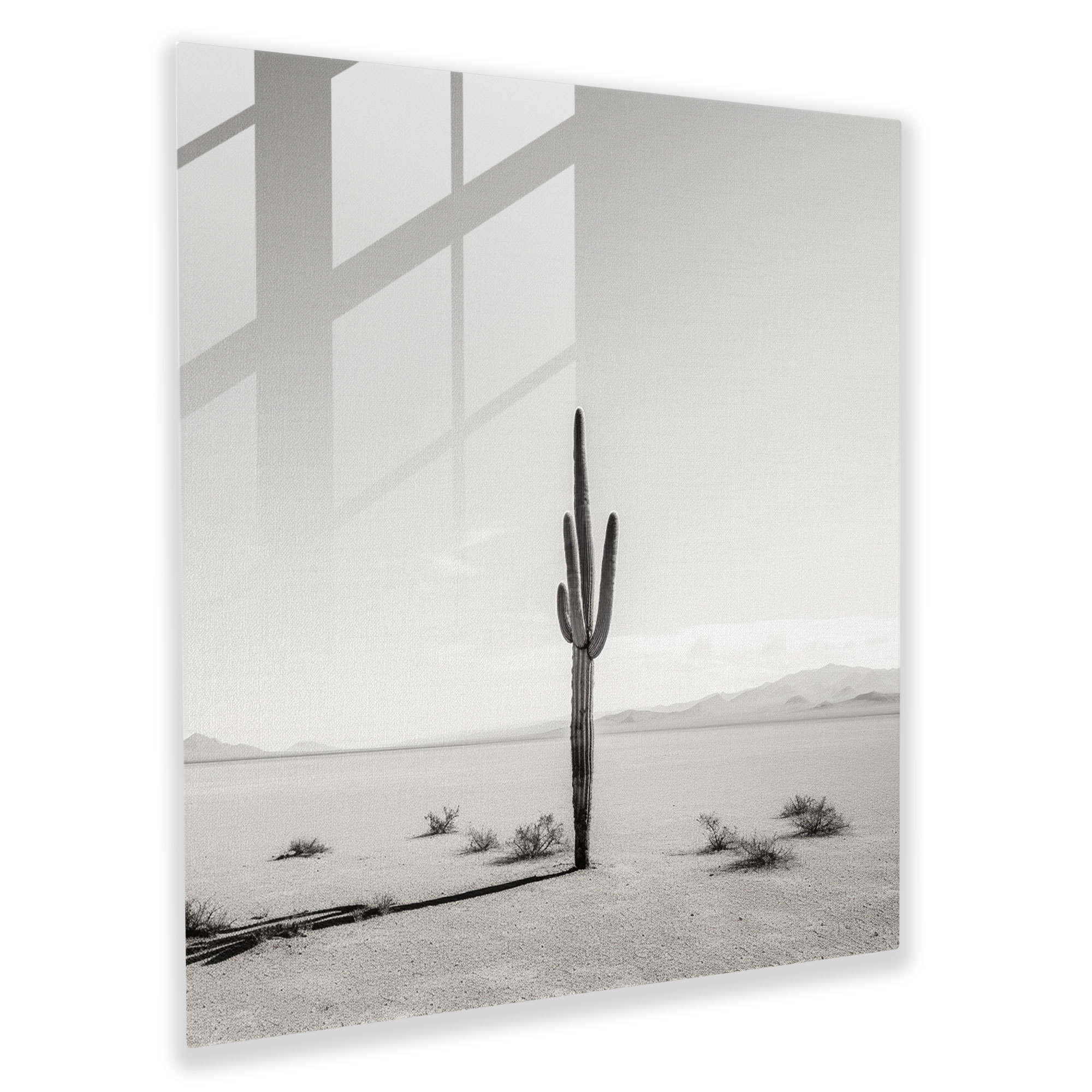 Cactus Landscape Black And White Glass Print - Cactus, Home Decoration, Cactus, Glass Wall Art
