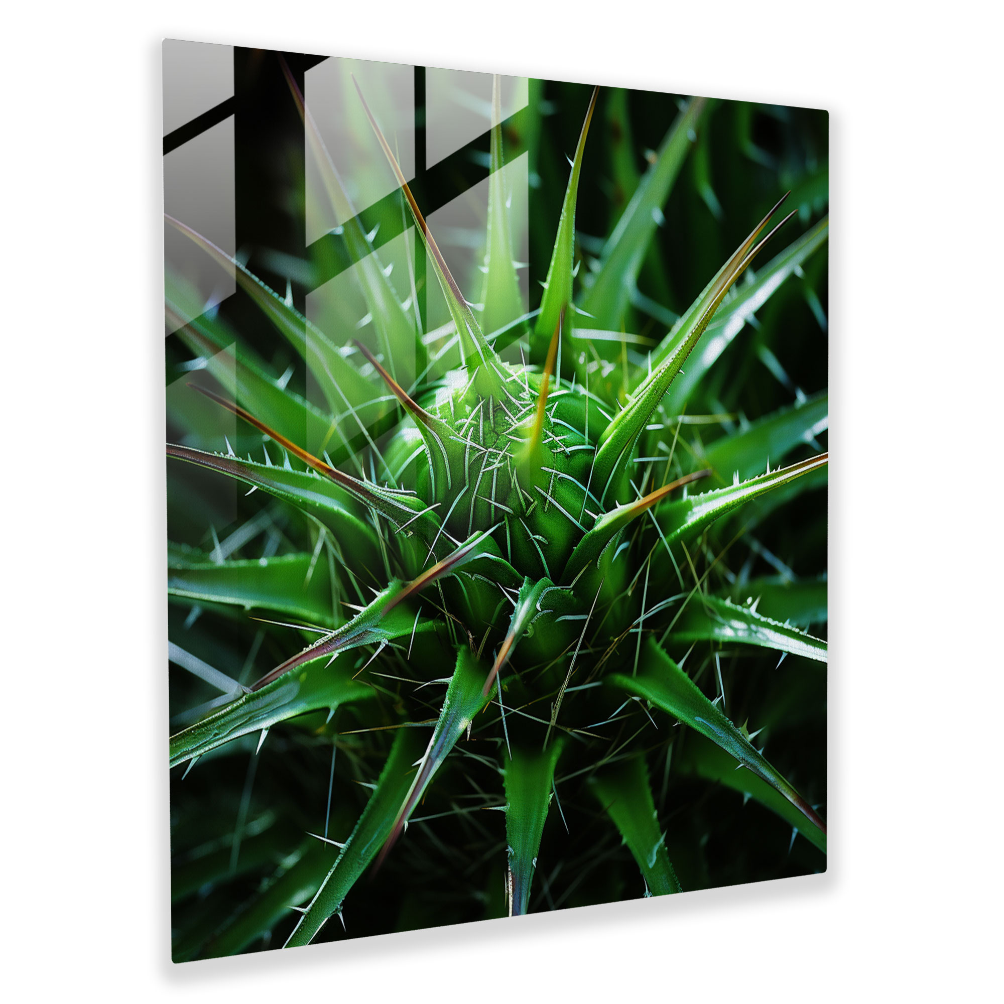 Vibrant Green Cactus Glass Print - Cactus, Macro Photography, Vibrant Green, Cactus