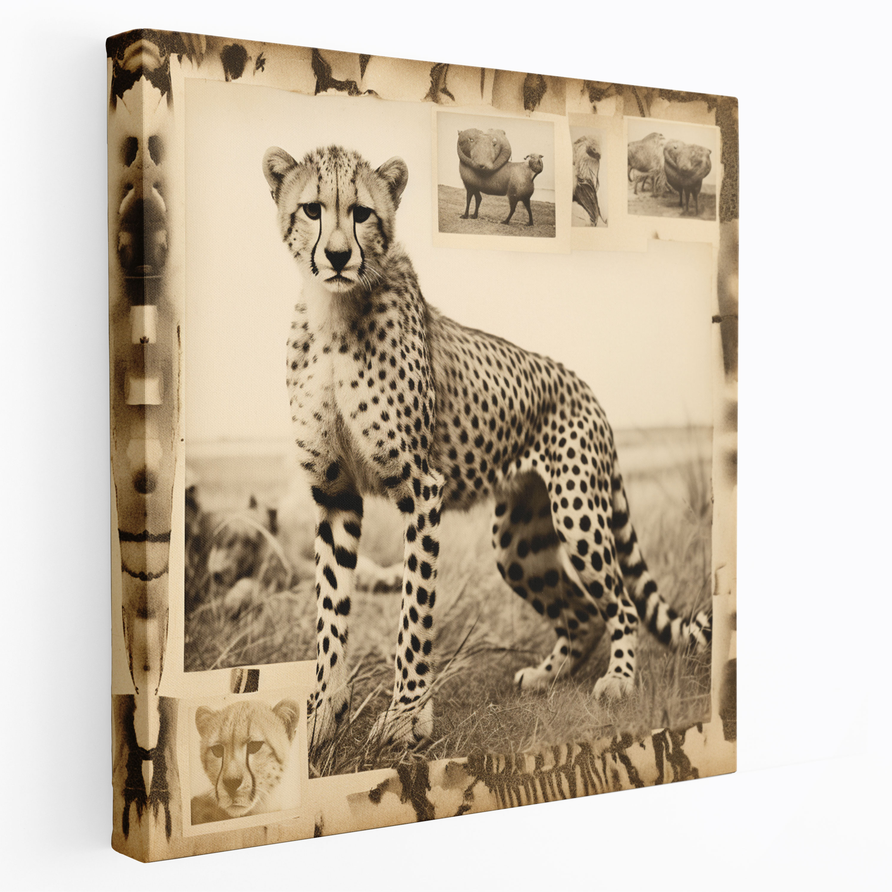 Cheetah Canvas Print - Vintage Cheetah Wall Art - Cheetah, Canvas Wall Art, Cheetah Canvas Print, Home Decoration
