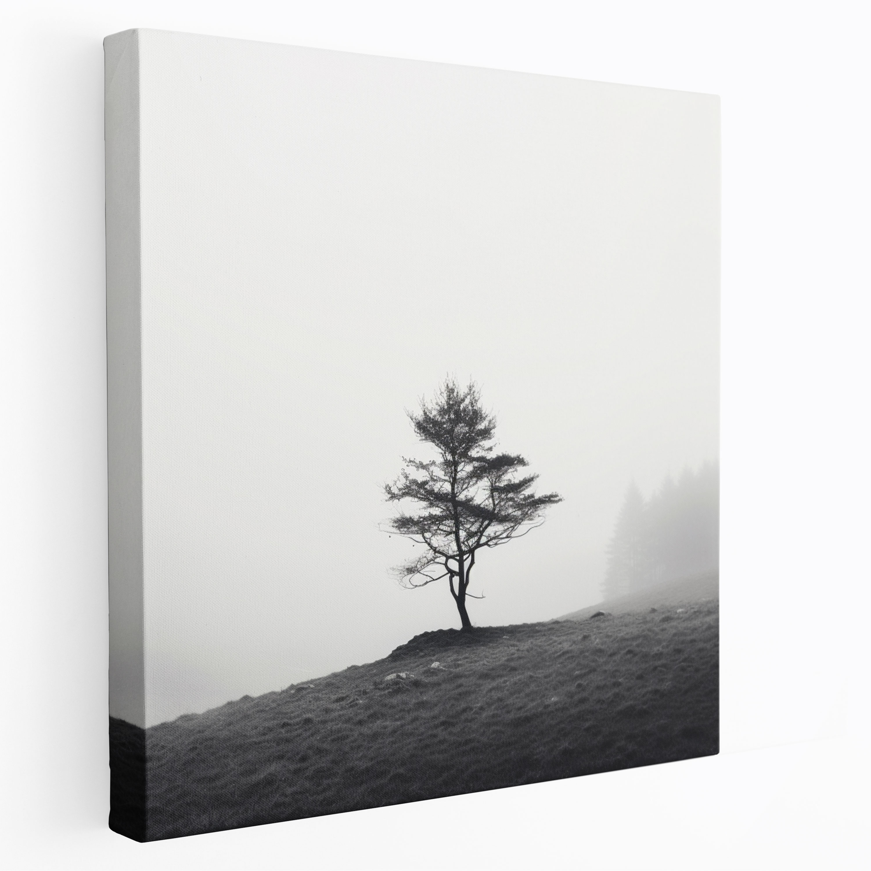Trendiges Leinwandbild - Minimalistischer Wald - Schwarzes und weißes Fotokunstwerk Wanddekoration