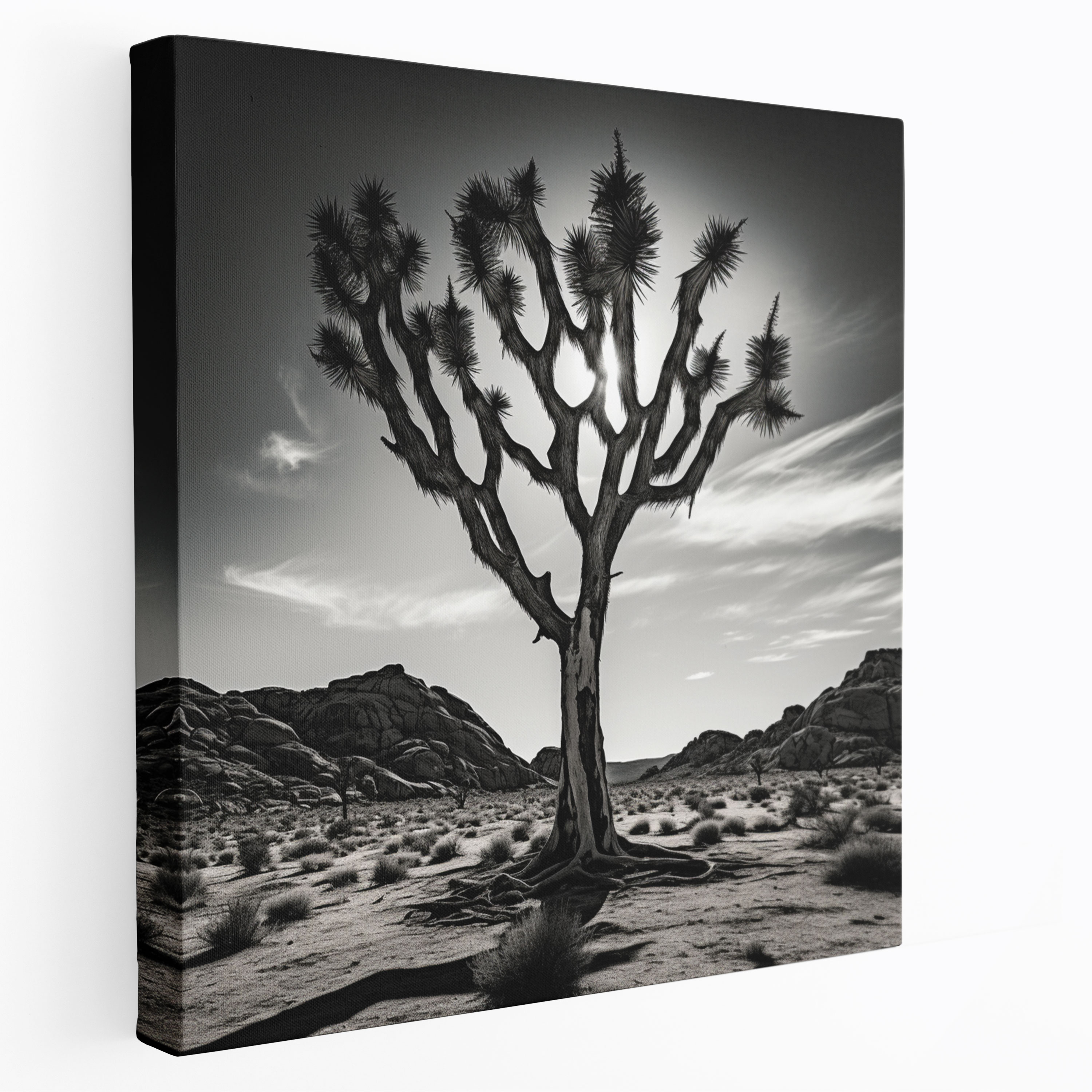 Graceful Joshua Tree Canvas Print - Desert, Fine Art Photography, Canvas, Desert