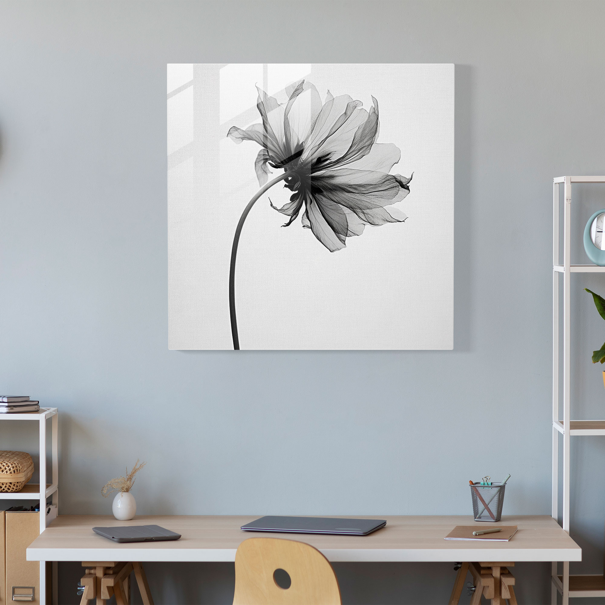 Dry Flower Glass Print - Minimalistic Monochrome Blossom - Dry Flower, Strong Contrasts, Monochrome Photograph, Modern Art