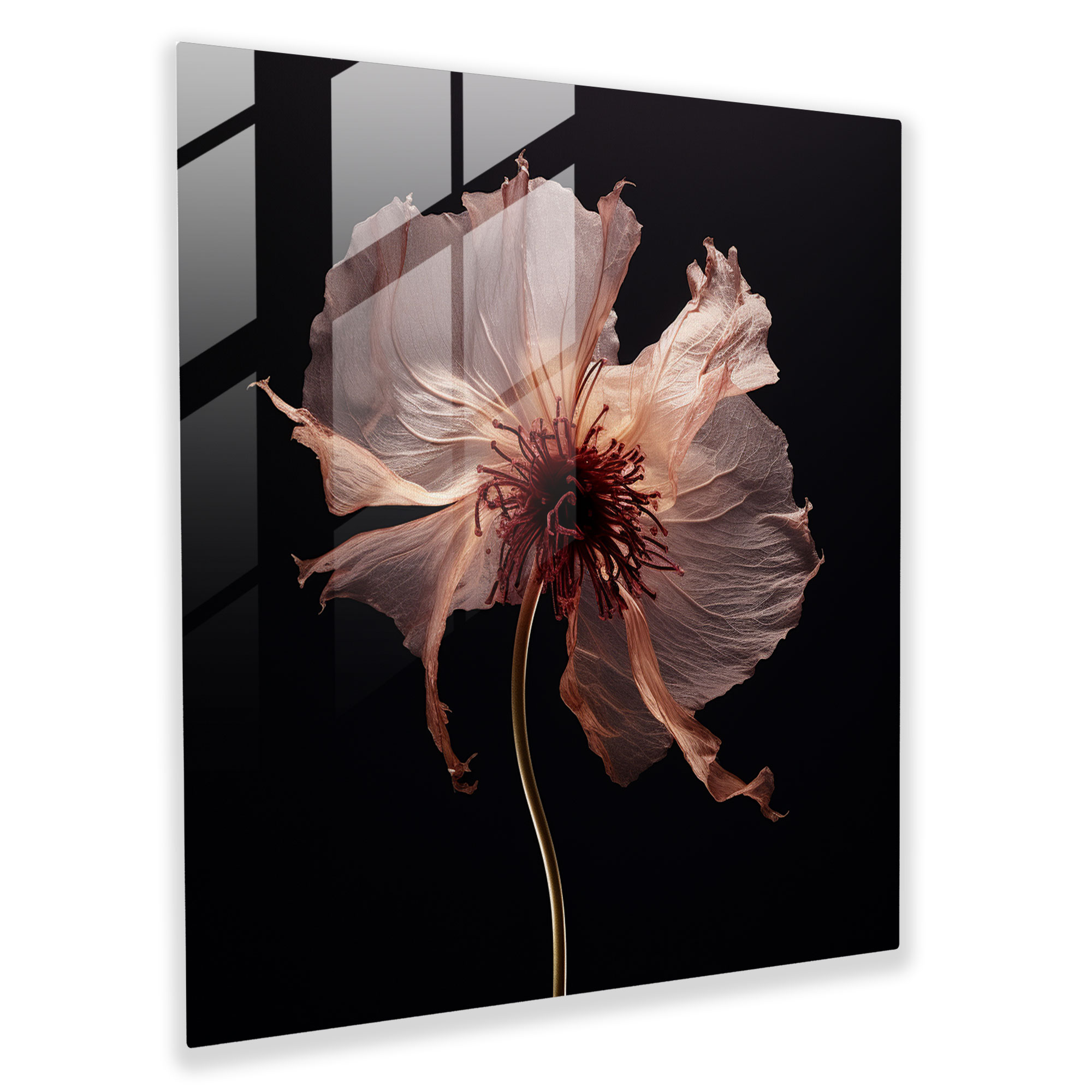 Intricate Dry Flower Glass Print - Dry Flower, Dry Flower, Home Decoration, Glass Print