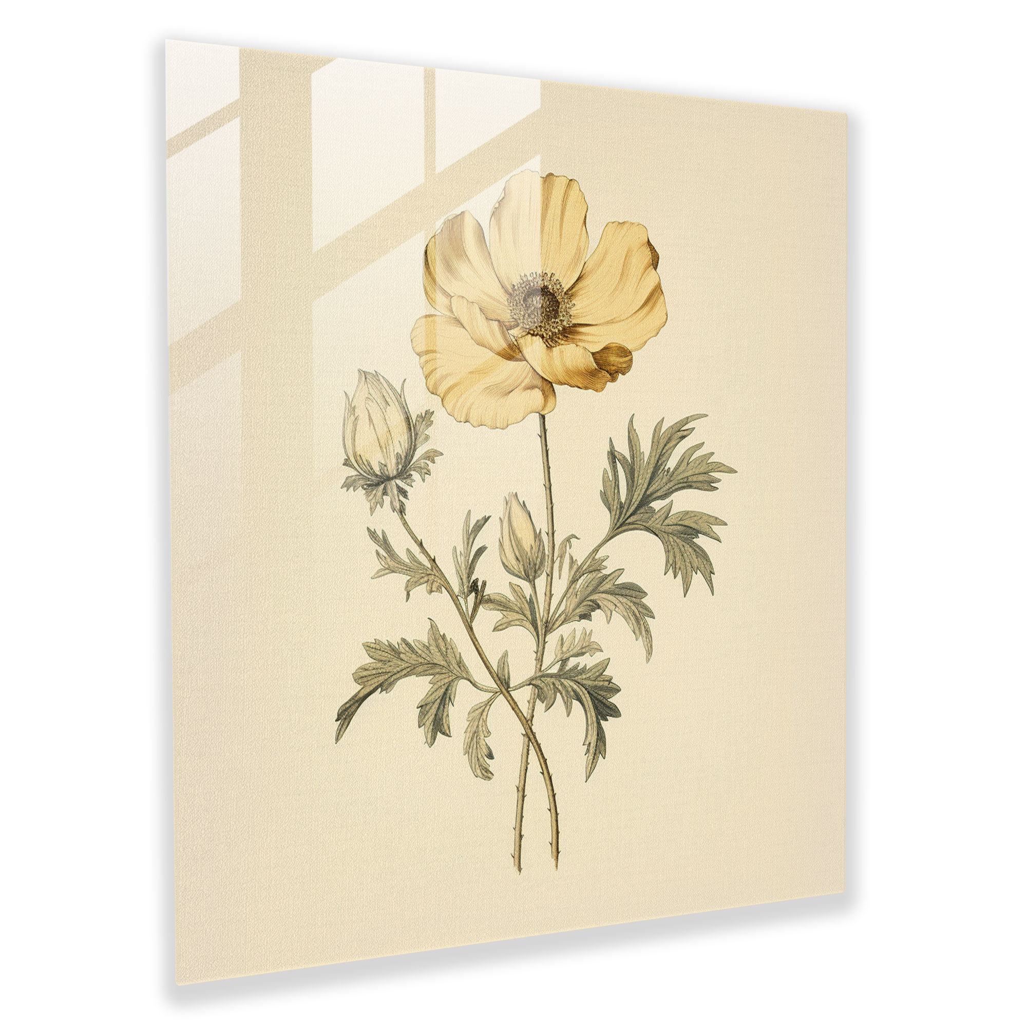 Vintage Dry Flower Glass Print - Dry Flower, Botanical Illustration, Home Decoration, Glass Art