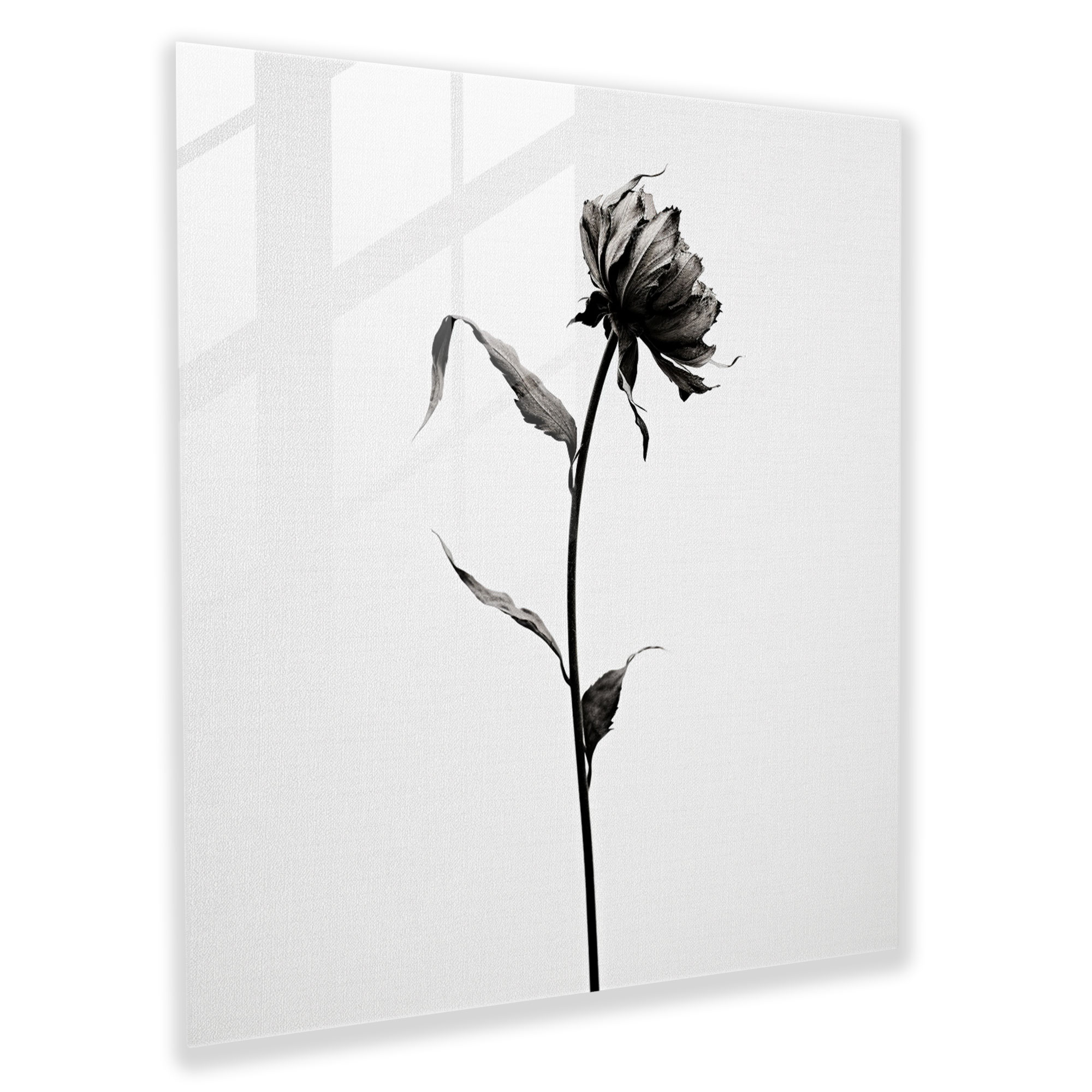 Dry Flower Glass Print - Dry Flower, Modern Art, Sophisticated, Glass Art