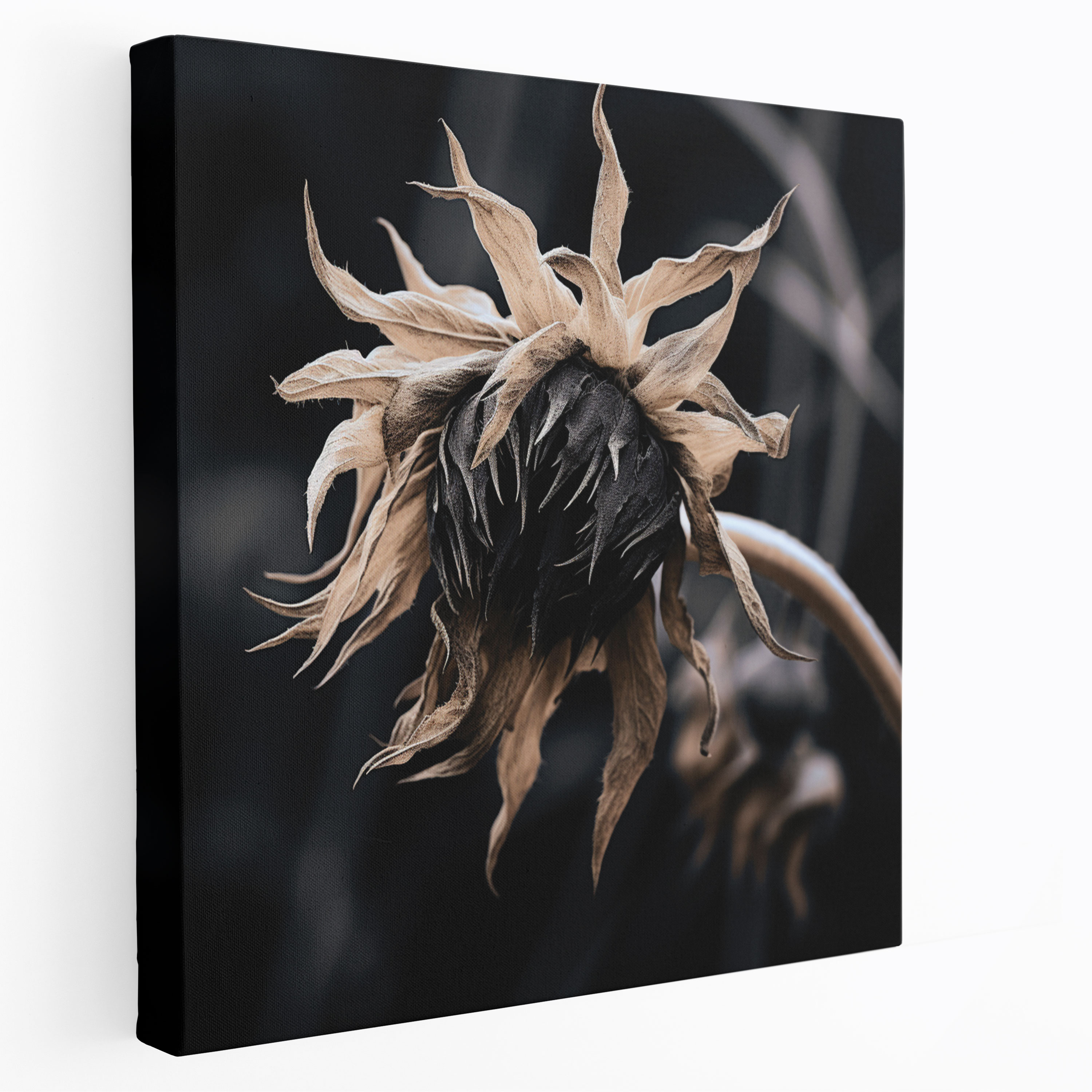 Monochrome Dry Flower Wall Art - Dry Flower, Canvas, Wall Art, Canvas Wall Art