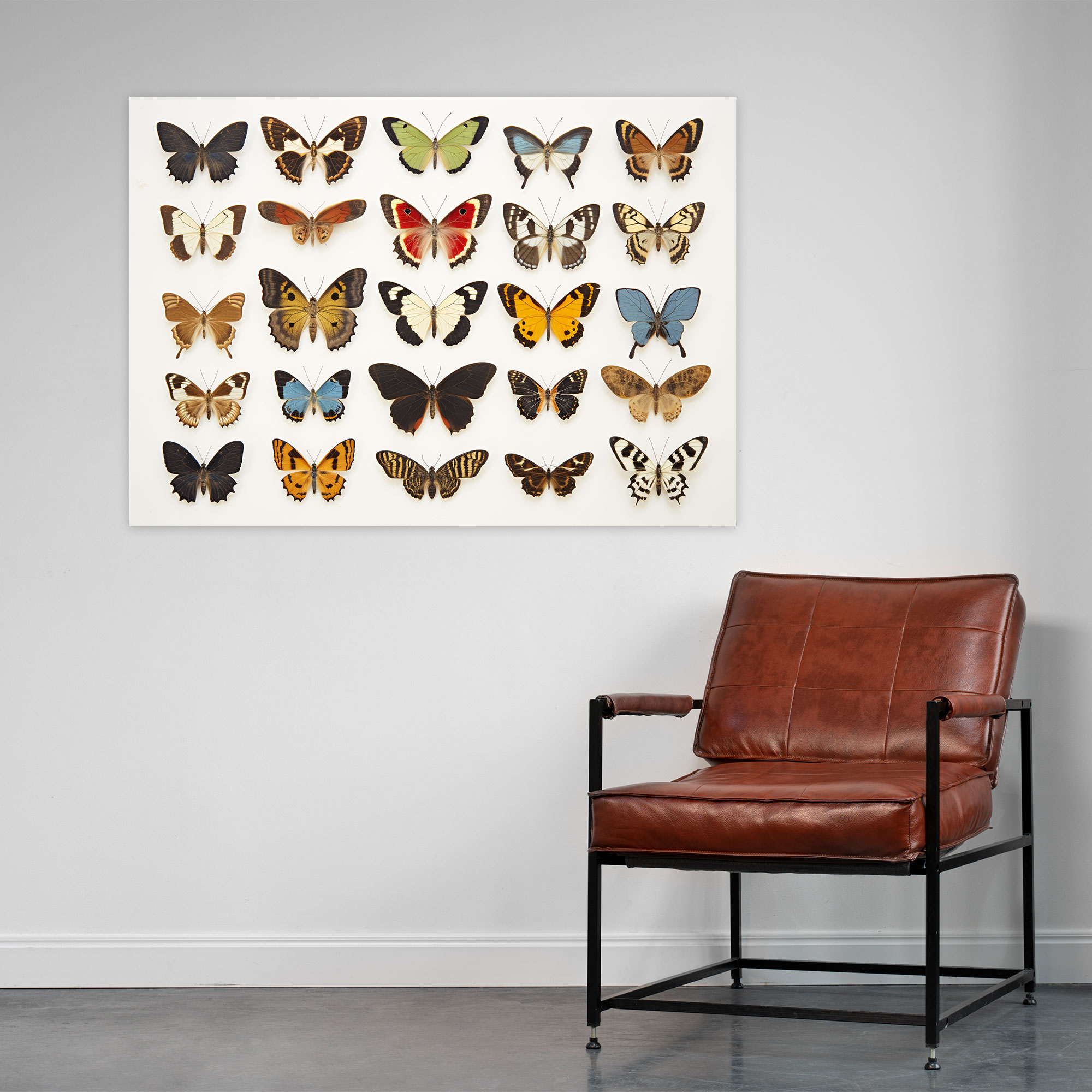 Whimsical Dried Butterflies Canvas Print - Dried Butterflies, Natural Beauty, Canvas Wall Art, Whimsical Design