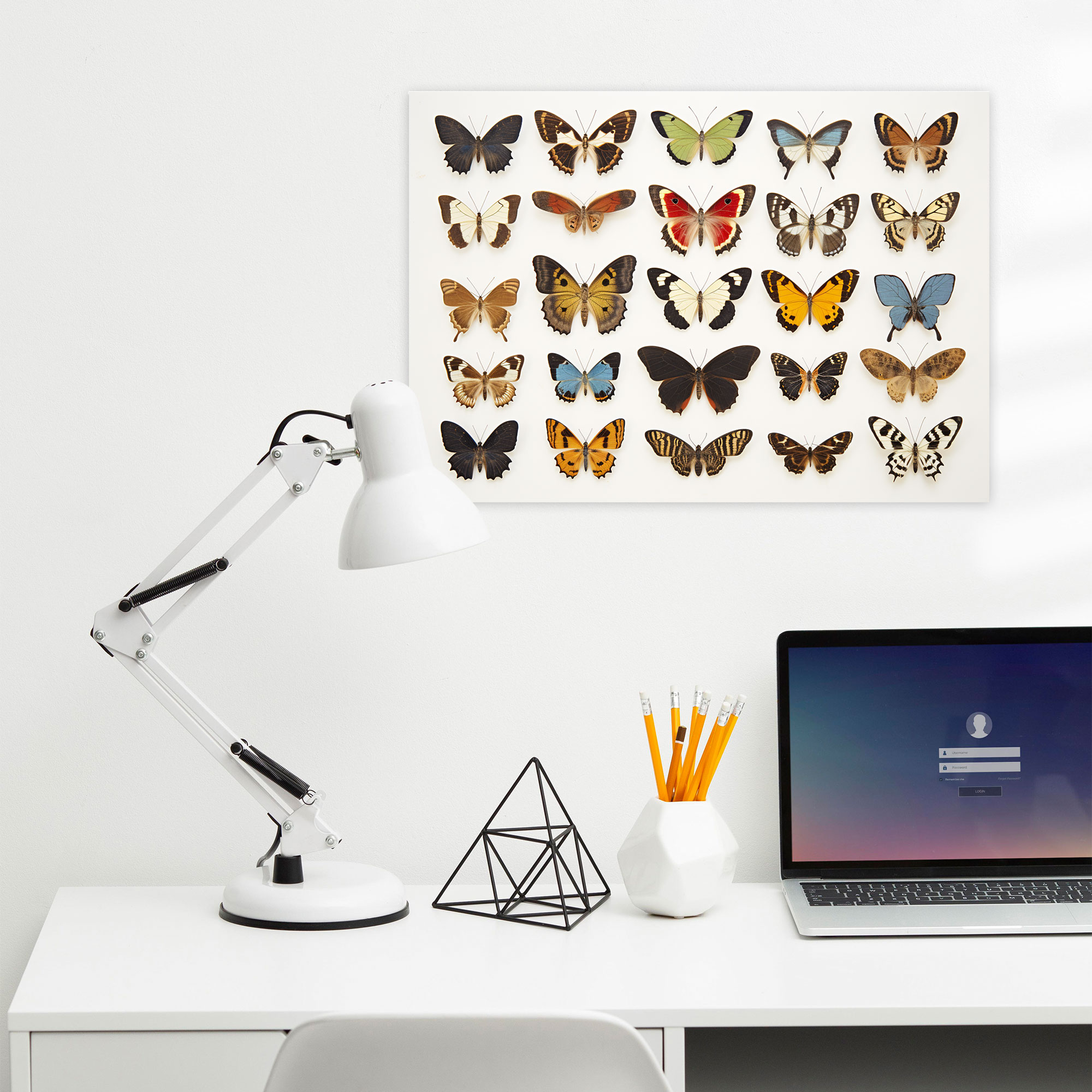 Whimsical Dried Butterflies Canvas Print - Dried Butterflies, Natural Beauty, Canvas Wall Art, Whimsical Design