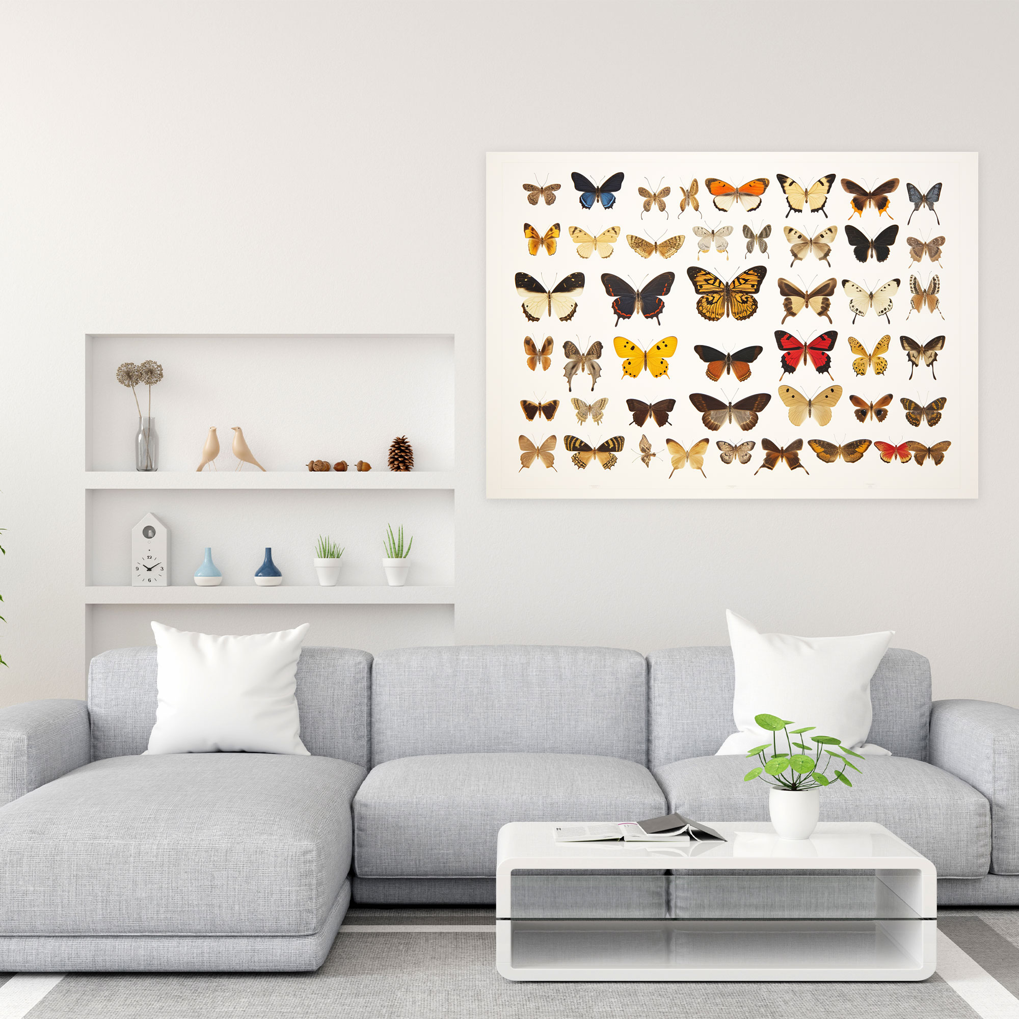Timeless Beauty Dried Butterflies Canvas Print - Dried Butterflies, Wall Art, Wall Decoration, Canvas Print
