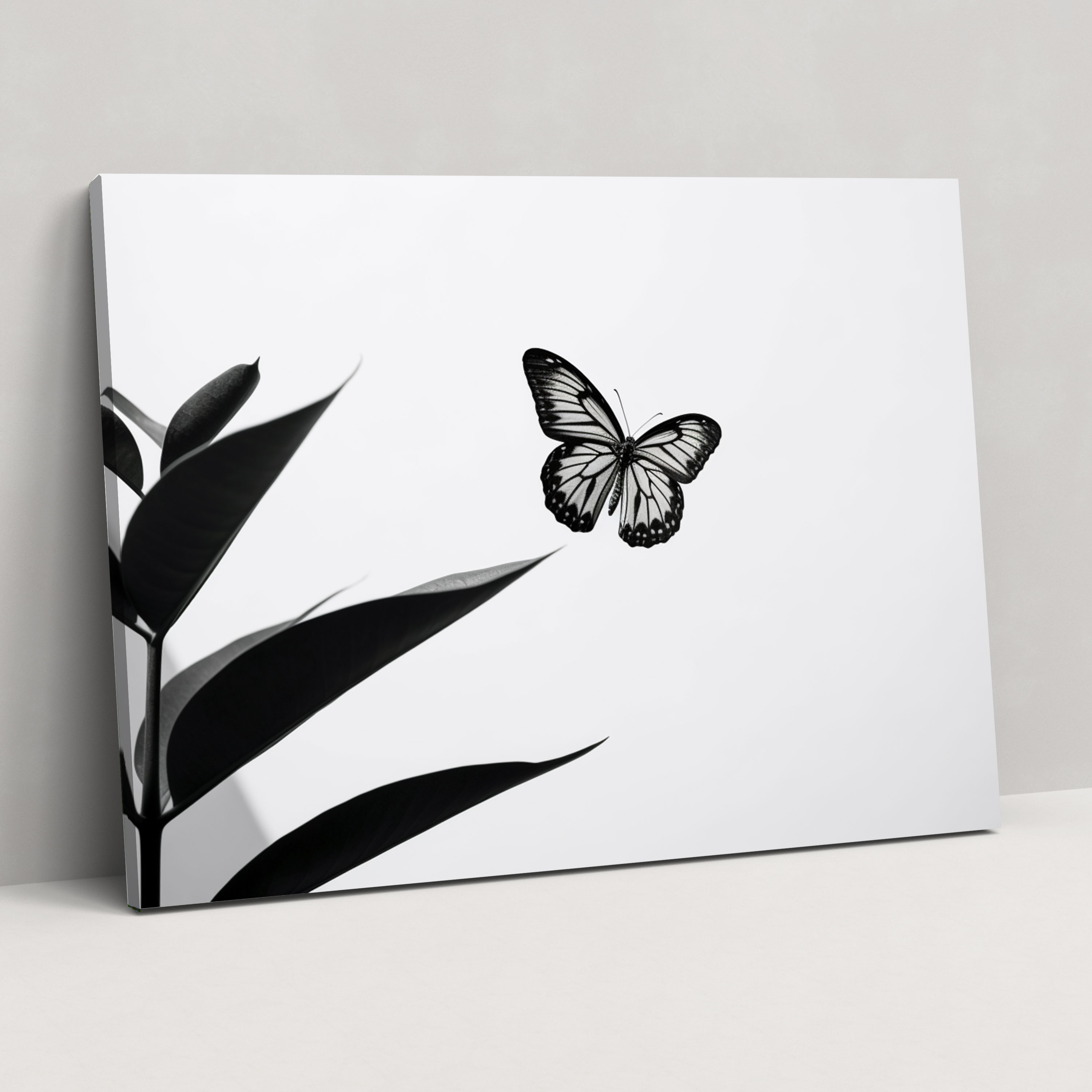 Black And White Butterfly Canvas Print - Dried Butterflies, Butterfly, Wall Decoration, Leaf