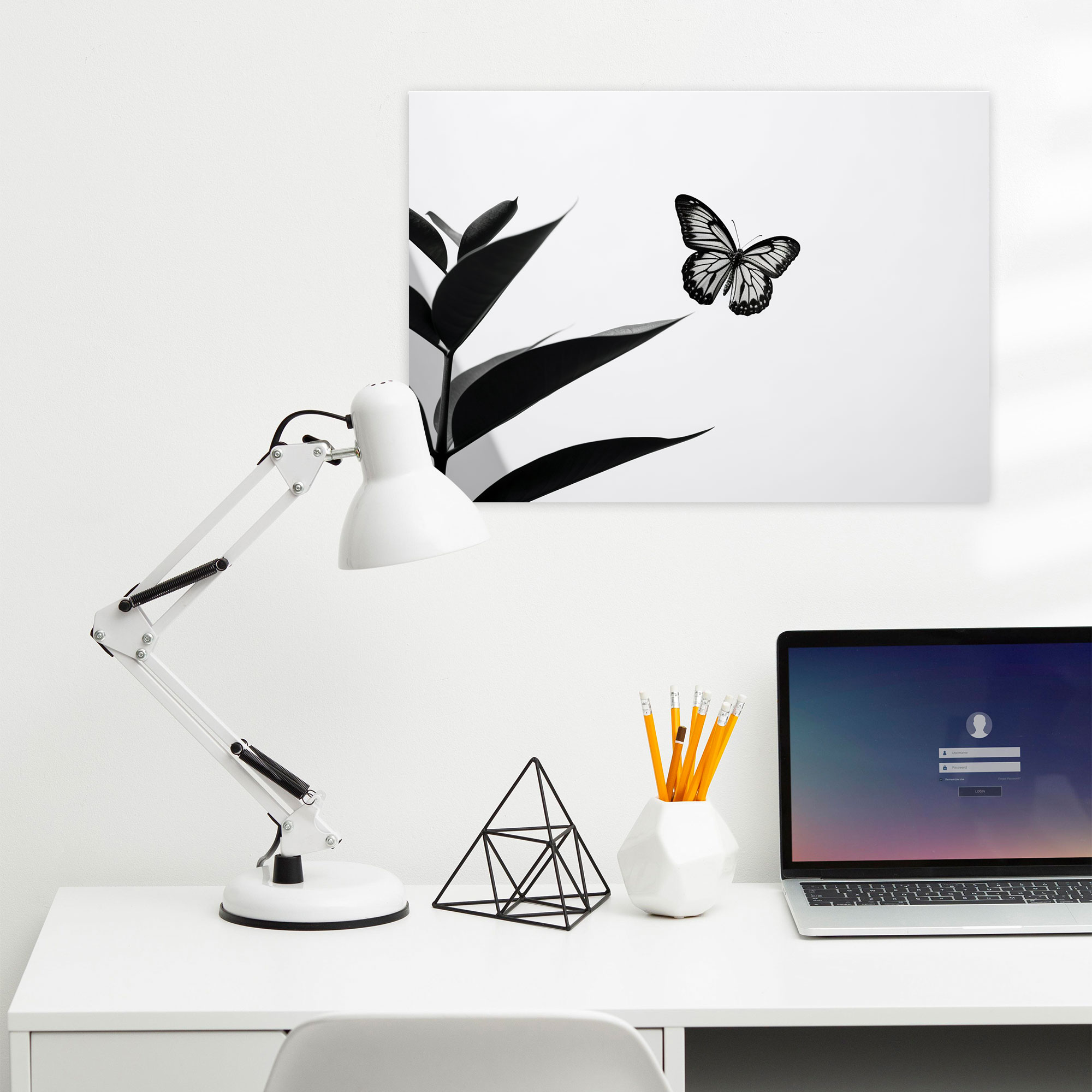 Black And White Butterfly Canvas Print - Dried Butterflies, Butterfly, Wall Decoration, Leaf