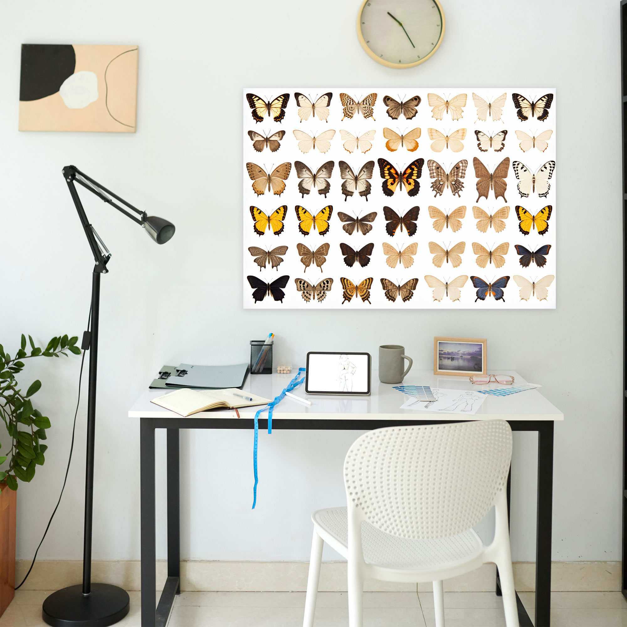 Dried Butterflies Photorealistic Collection Wall Decoration - Dried Butterflies, Wall Decoration, Butterflies, Delicate Beauty