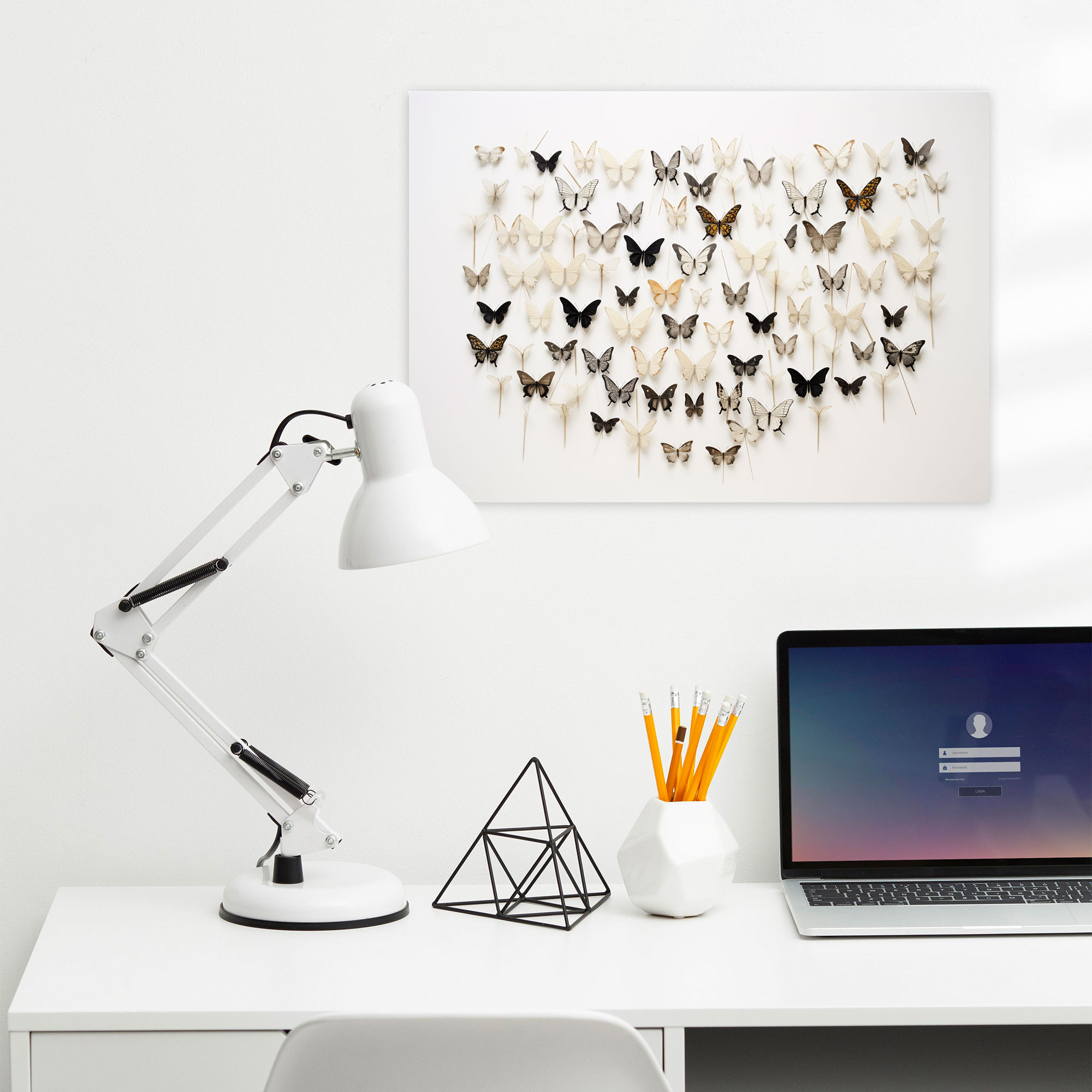 Dried Butterflies Photorealistic Collection Wall Decoration - Dried Butterflies, Contemporary Aesthetic, Wall Decoration, Dried Butterflies Photorealistic Collection
