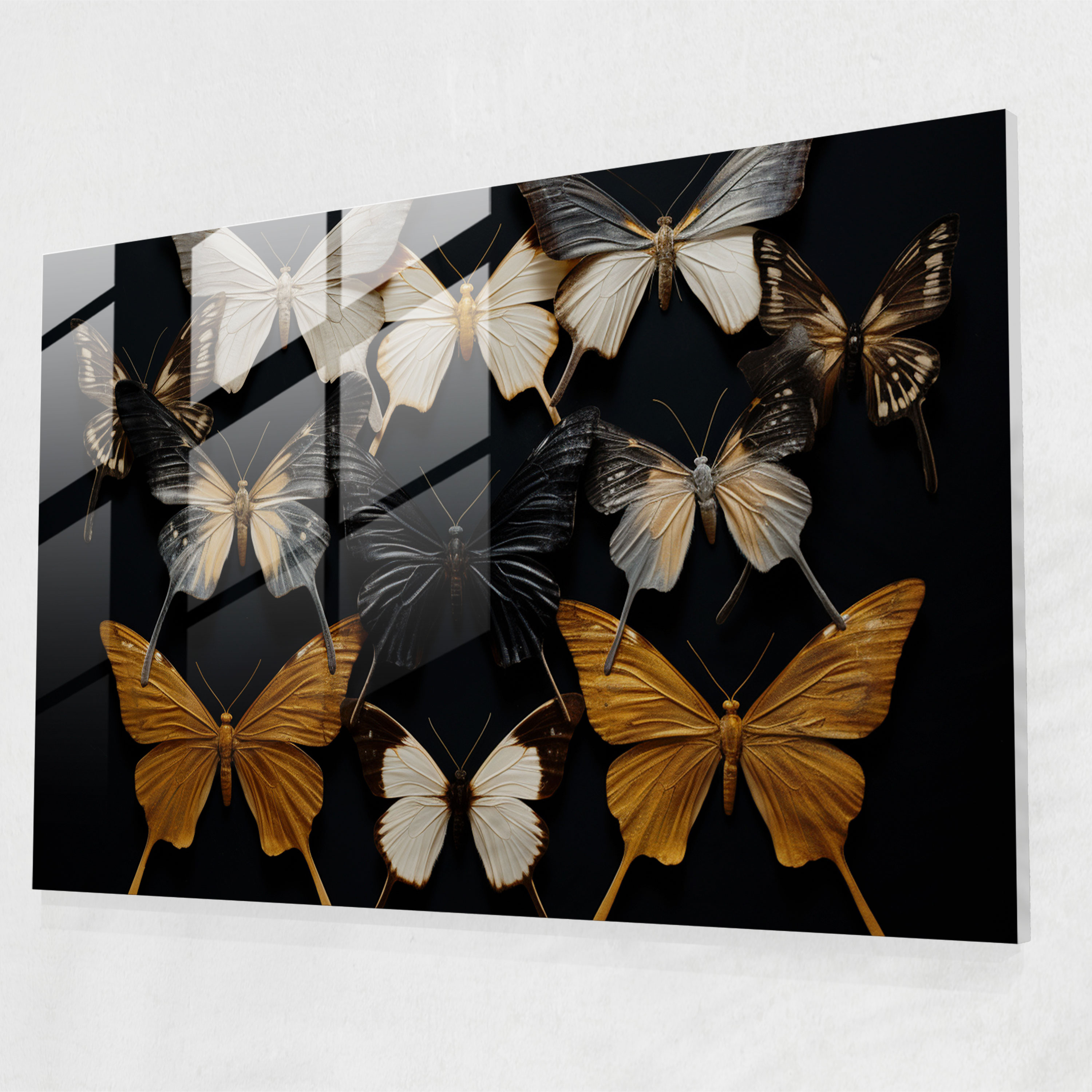 Dried Butterflies Glass Print - Dried Butterflies, Glass Art, Home Decoration, Modern Art