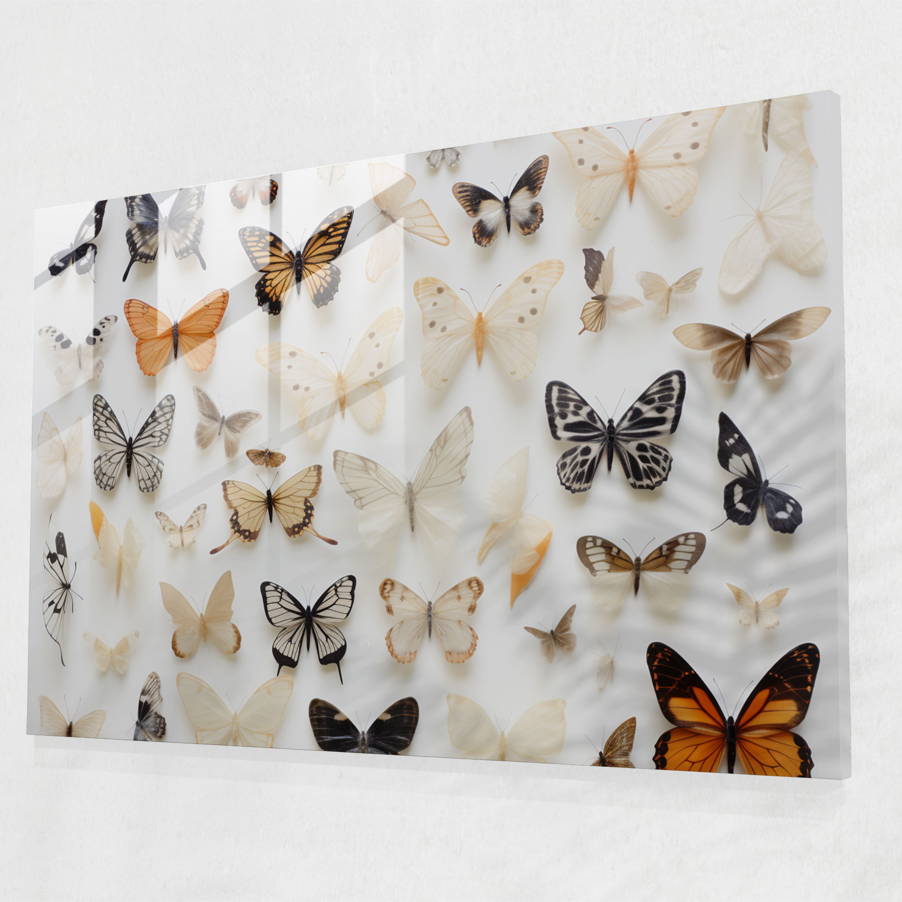 Dried Butterflies Glass Wall Art - Dried Butterflies, Elegance, Preserved Butterflies, Glass Print