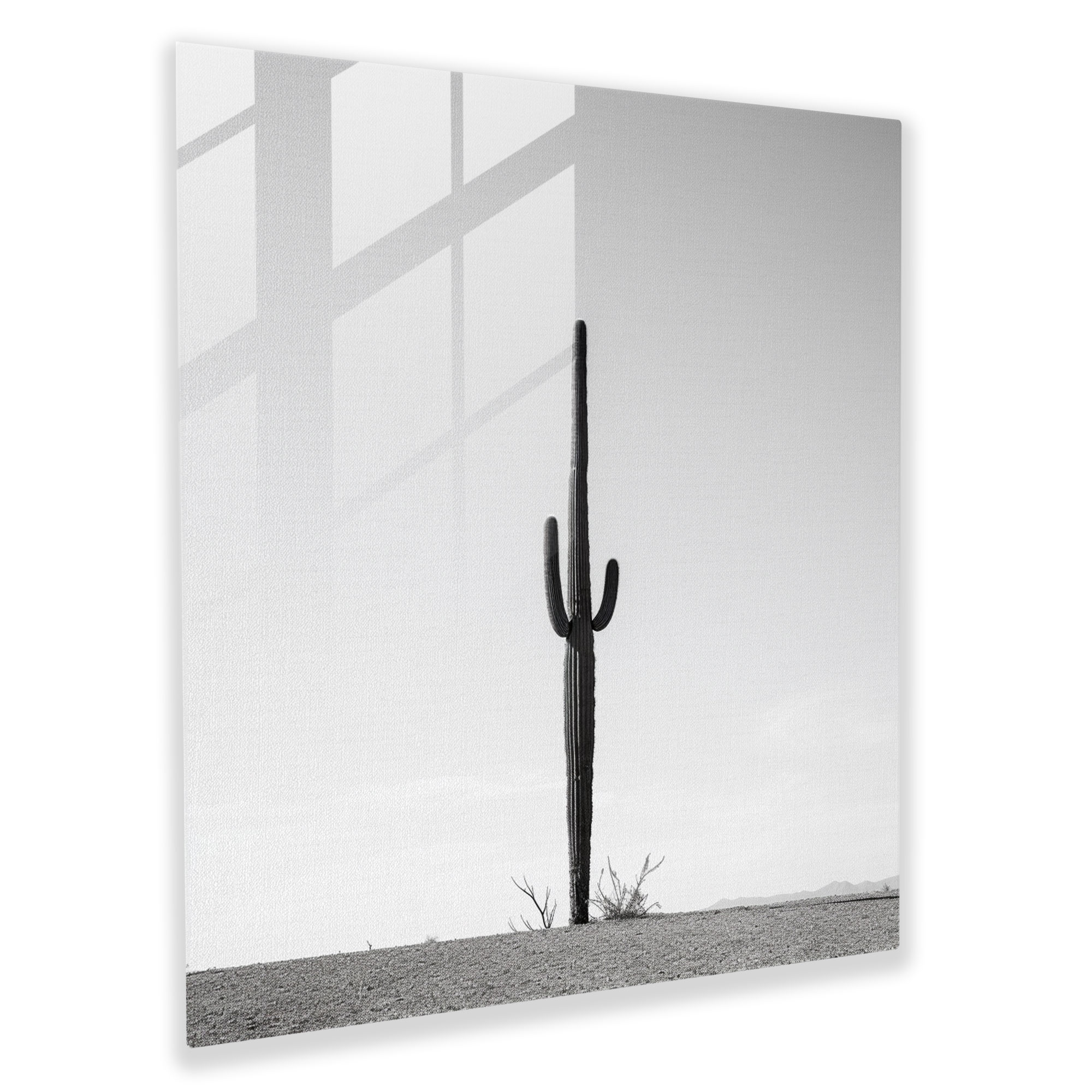Solitary Cactus Glass Print - Desert, Desert Landscape, Glass Wall Art, Wall Decoration