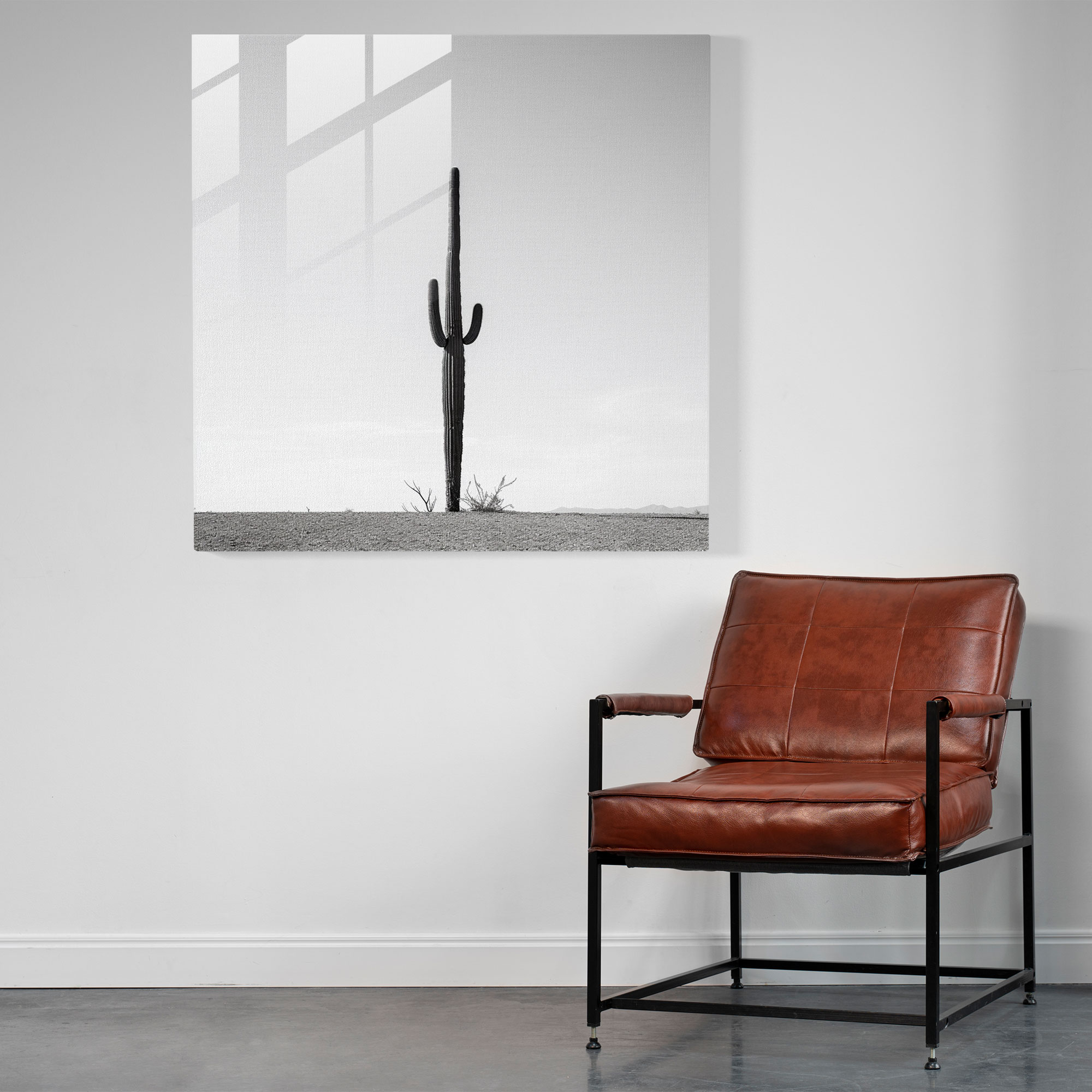 Solitary Cactus Glass Print - Desert, Desert Landscape, Glass Wall Art, Wall Decoration