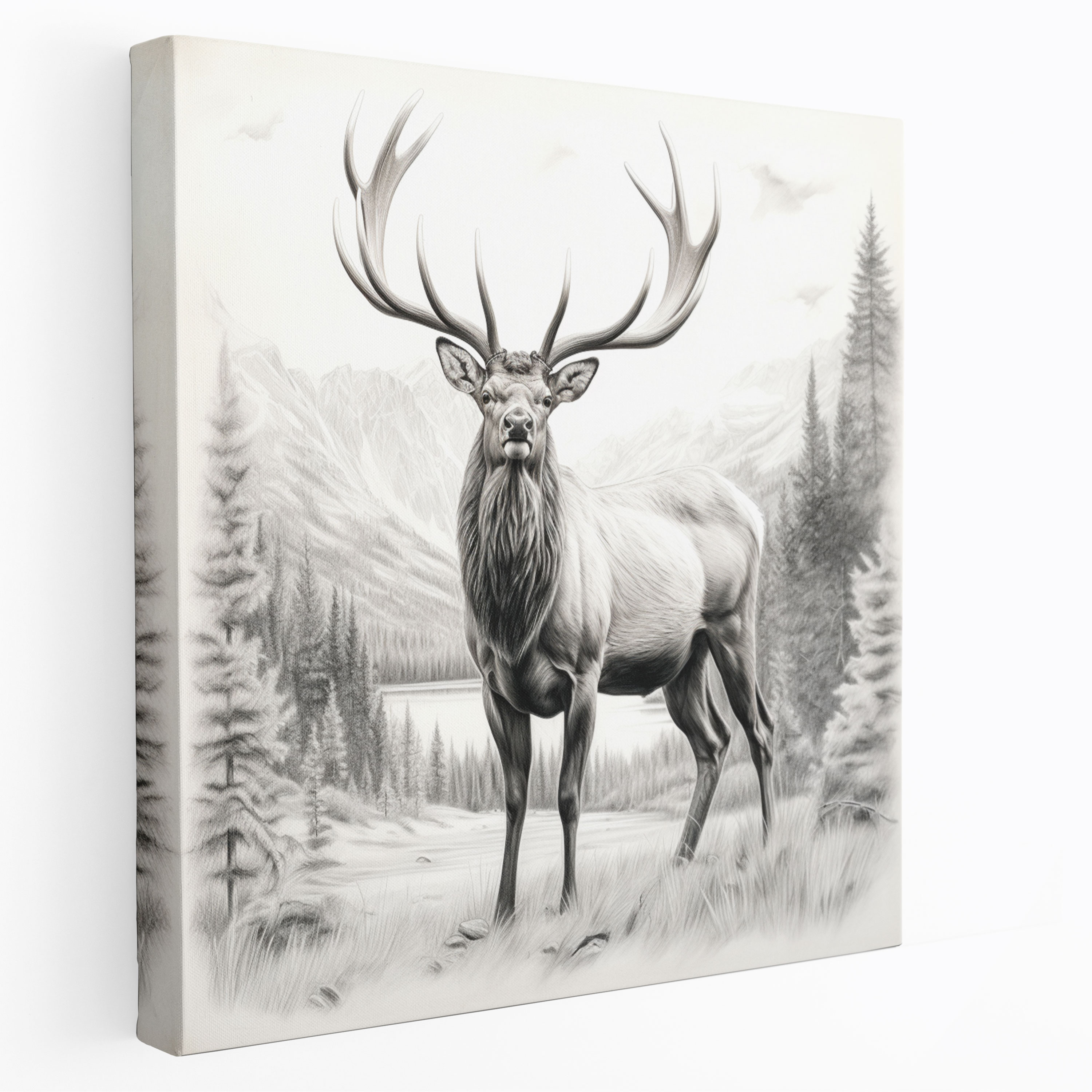 Elk Canvas Print - Realistic Pencil Sketch - Wall Art - Elk, Elk, Canvas Print, Canvas Wall Art