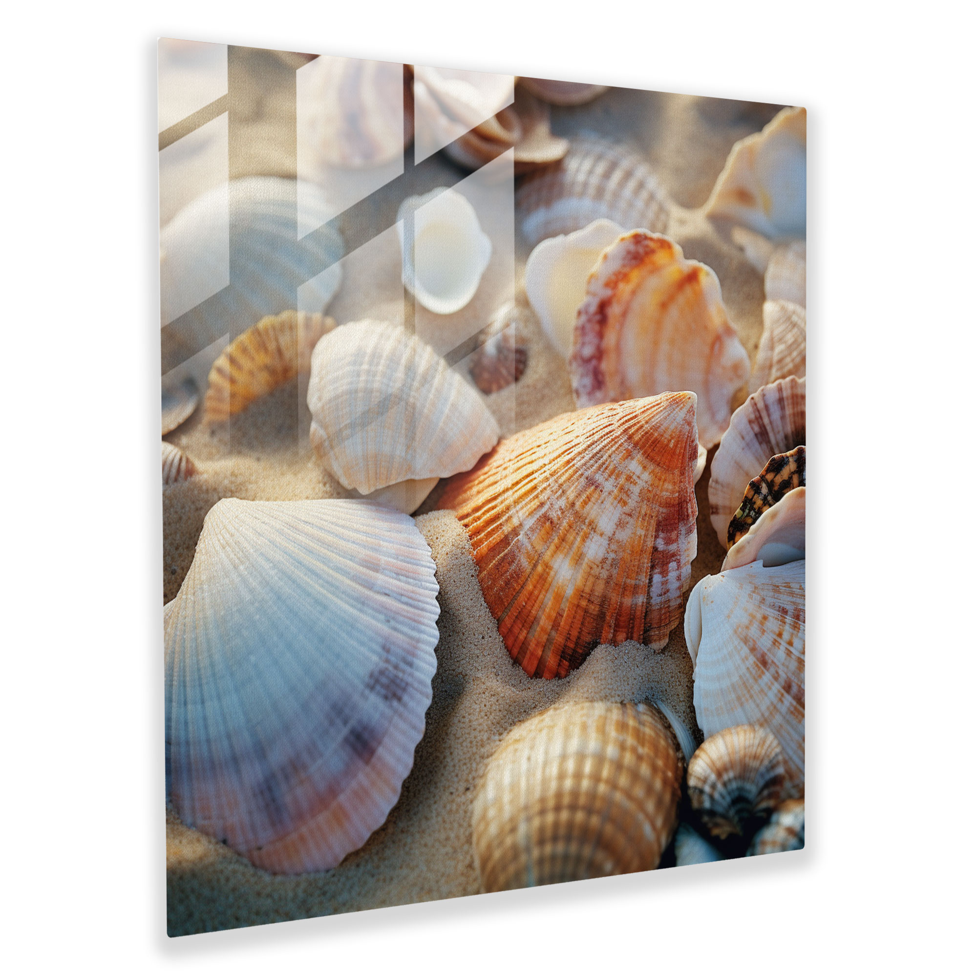 Coastal Treasures Glass Print - For Bathroom, Modern Art, Home Decoration, Wall Decoration