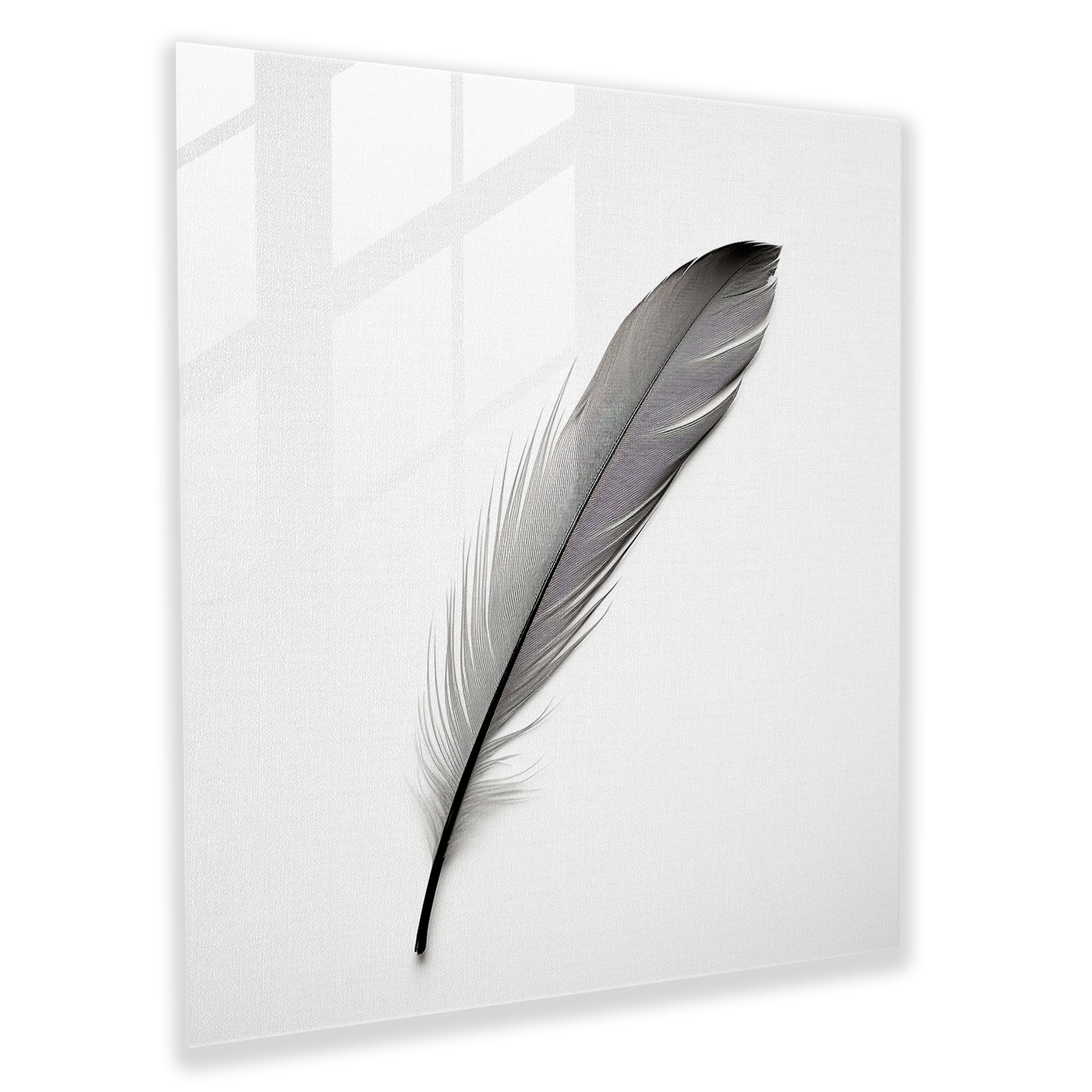 Feather Serenity Glass Print - Feather, Wall Decoration, Glass Art, Black And White Photograph