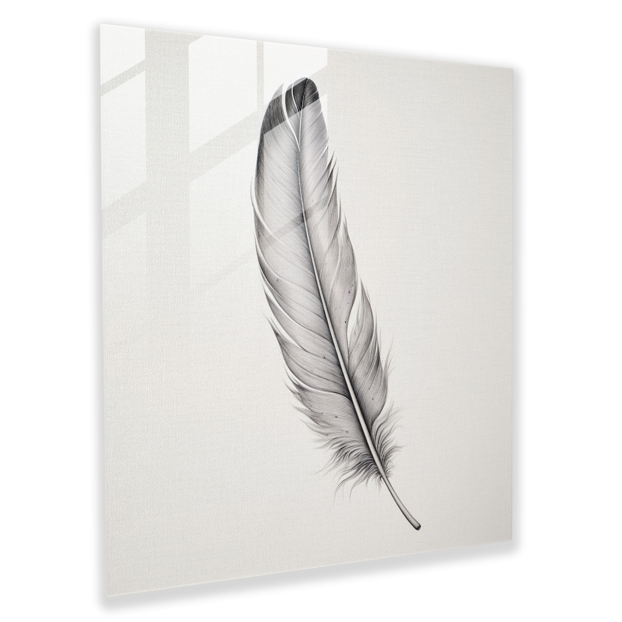 Elegant Feathers Glass Print - Feather, Home Decoration, Feather, Glass Wall Art