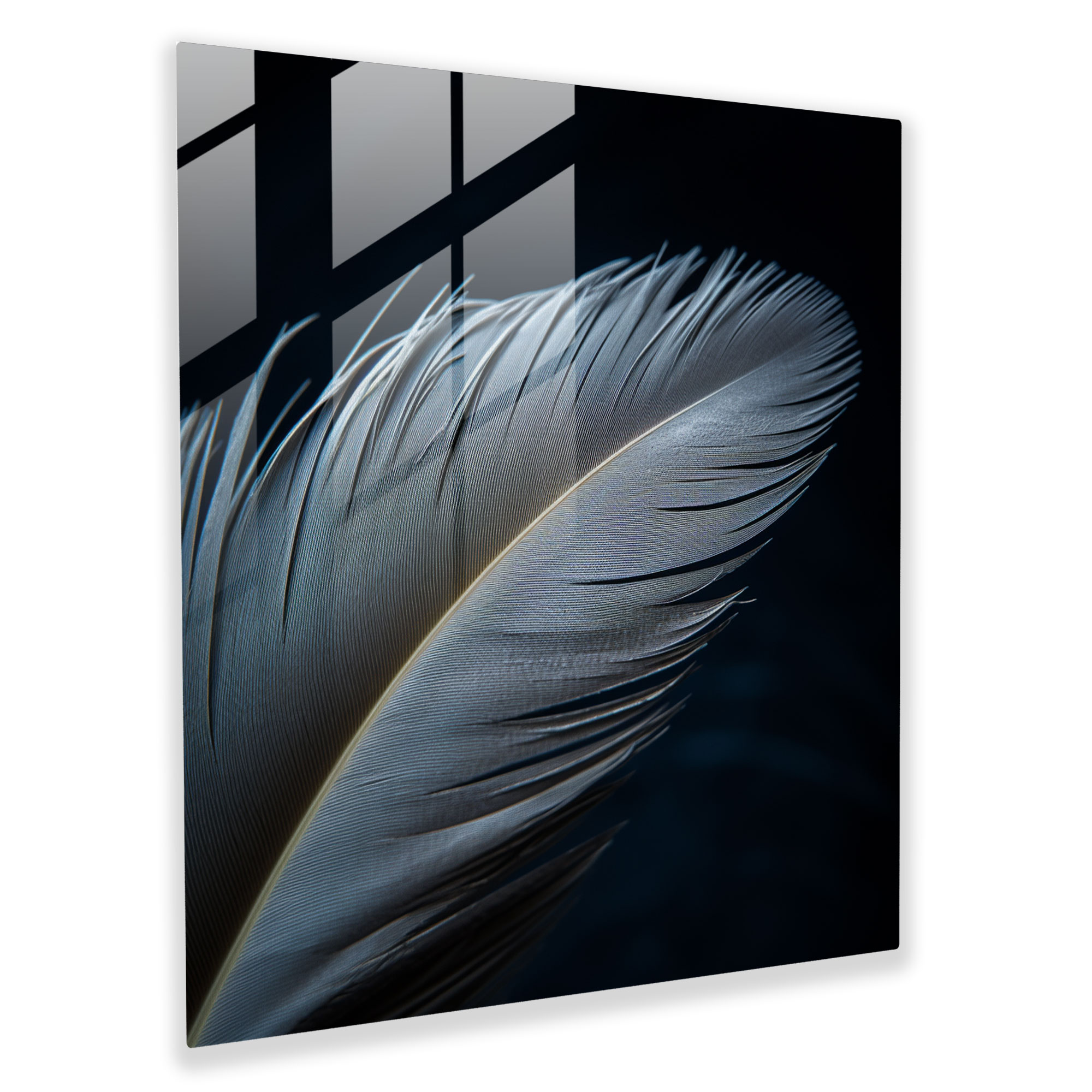 Intricate Beauty Glass Print - Feather, Wall Decoration, Delicate Patterns, Photography