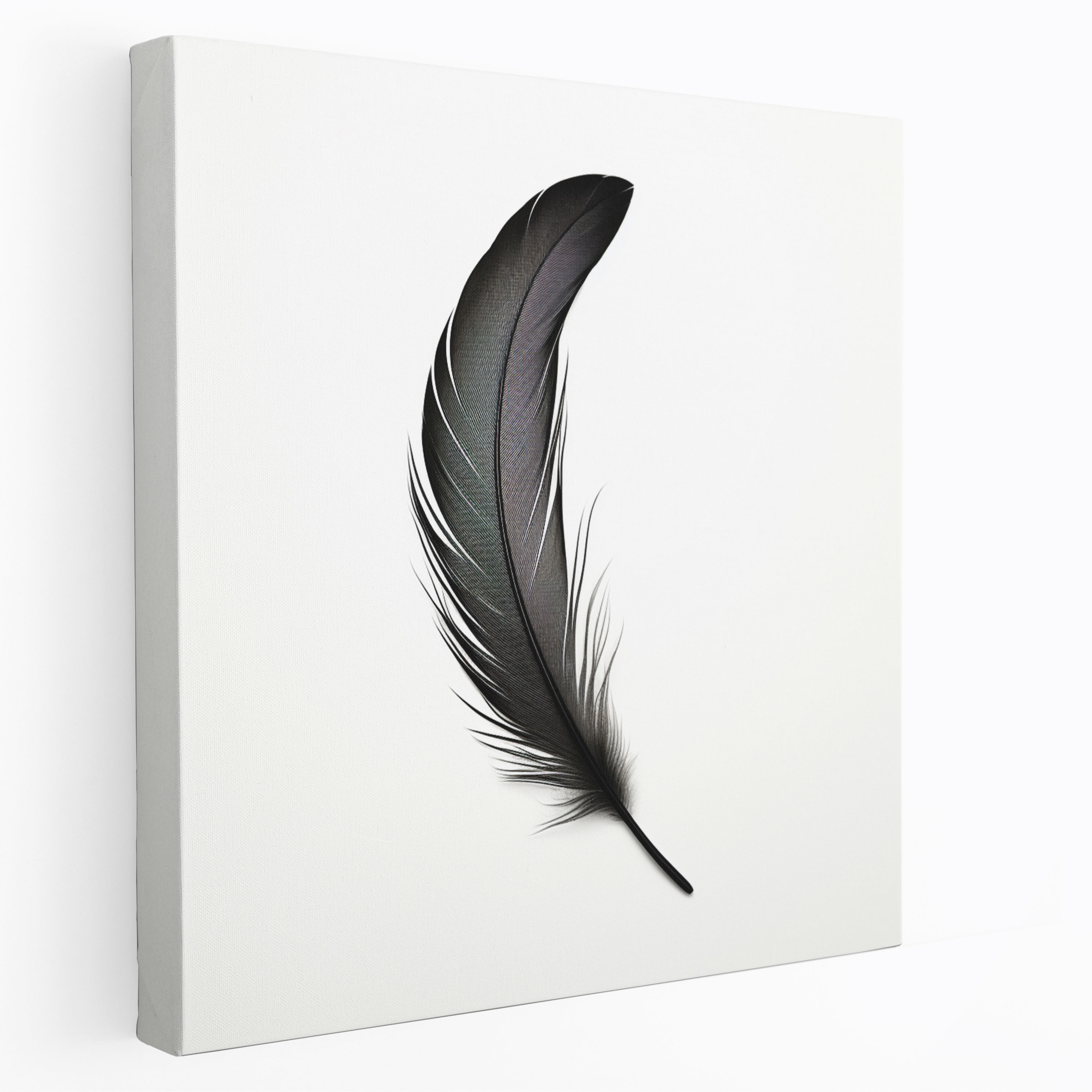 Feather Wall Art - Minimalist Black And White Illustration - Canvas Print - Feather, Minimalist Black And White Illustration, Canvas Print, Canvas