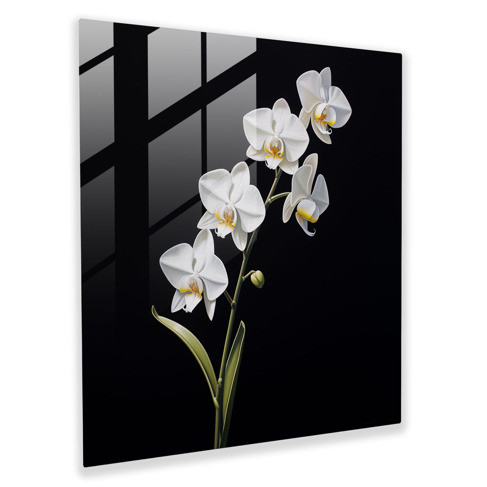 Edles Glasbild - Minimalistische weiße Orchidee mit zeitgenössischer Kunst