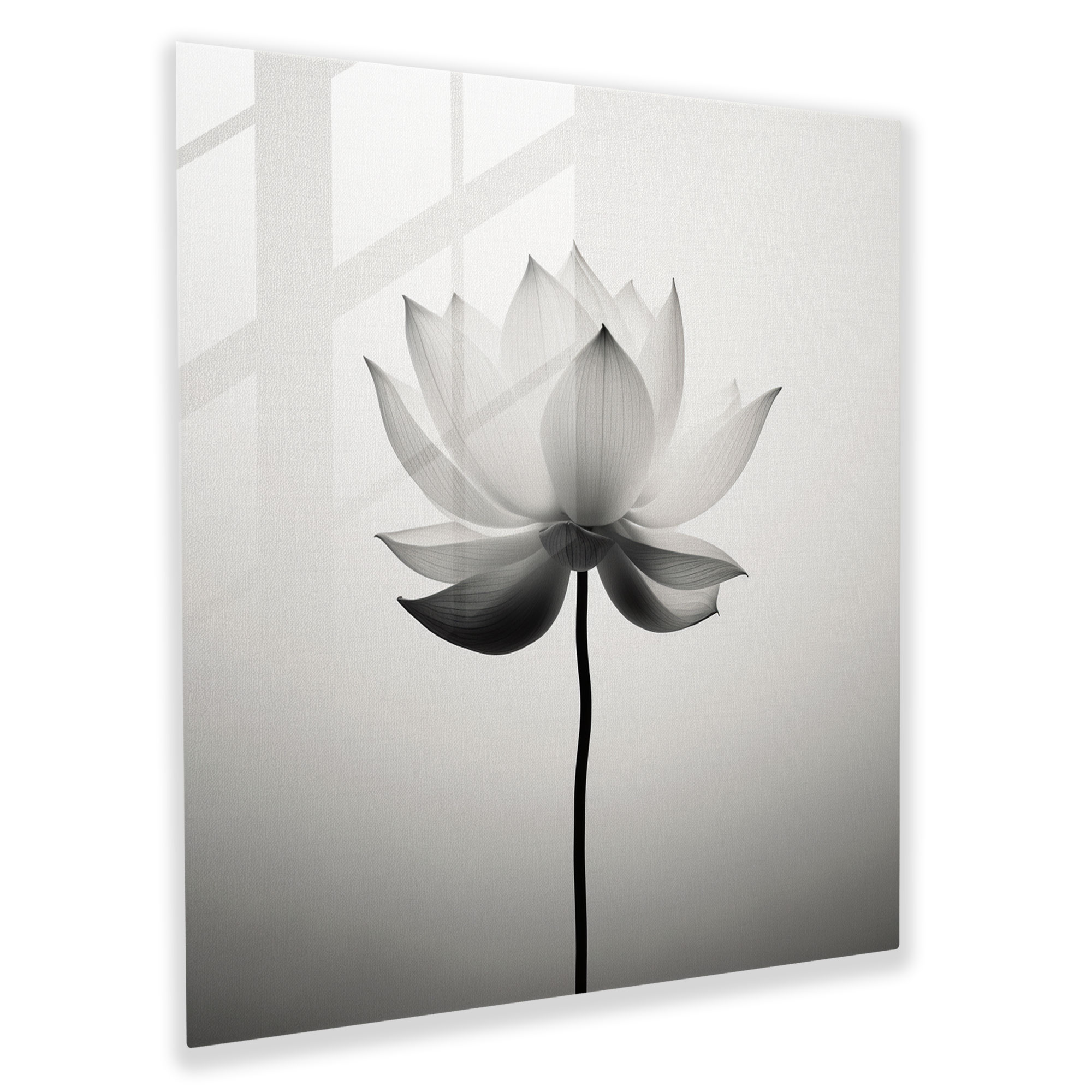 Sophisticated Monochrome Lotus Flower Glass Print
