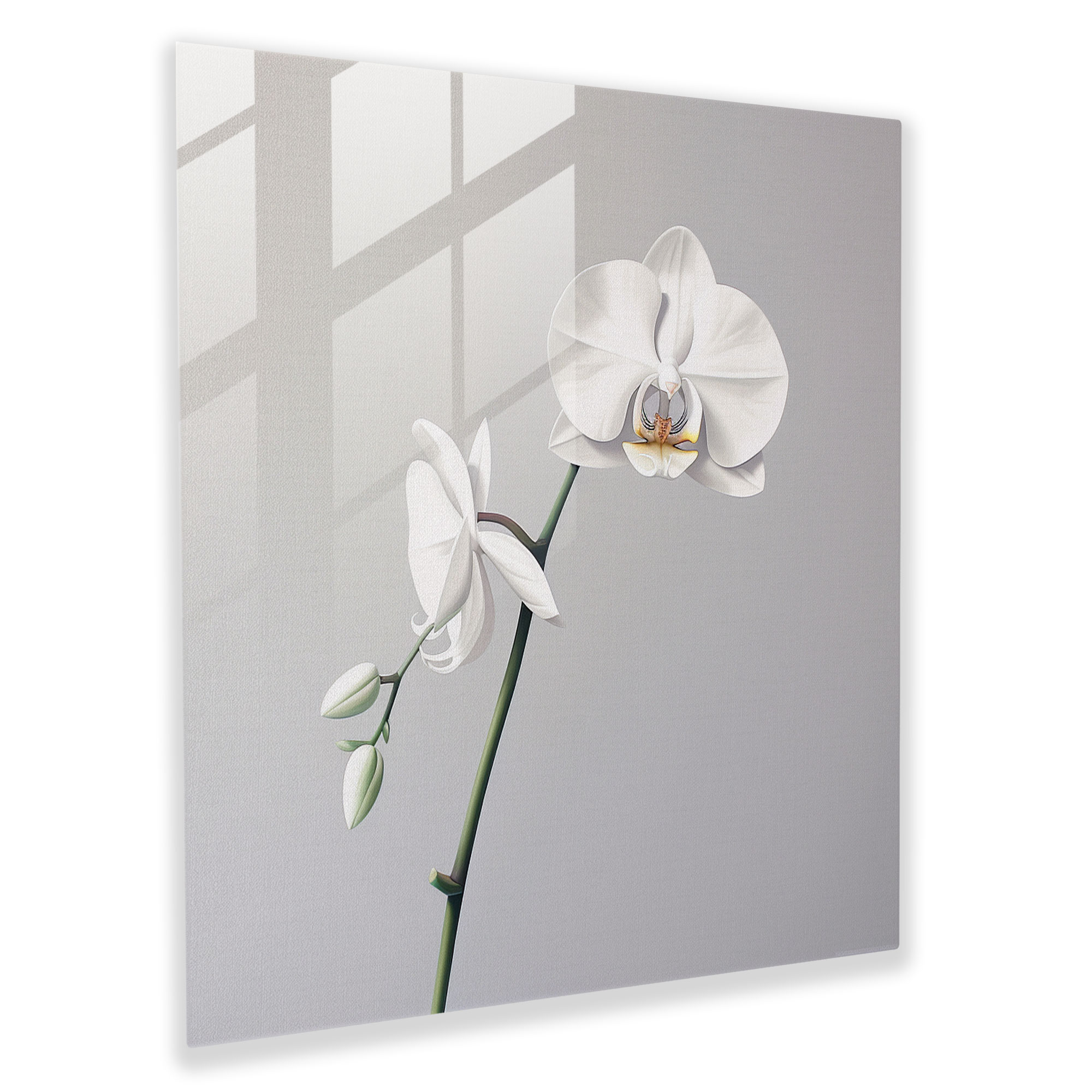 Minimalist Orchid Glass Print Artwork - Contemporary Wall Decor