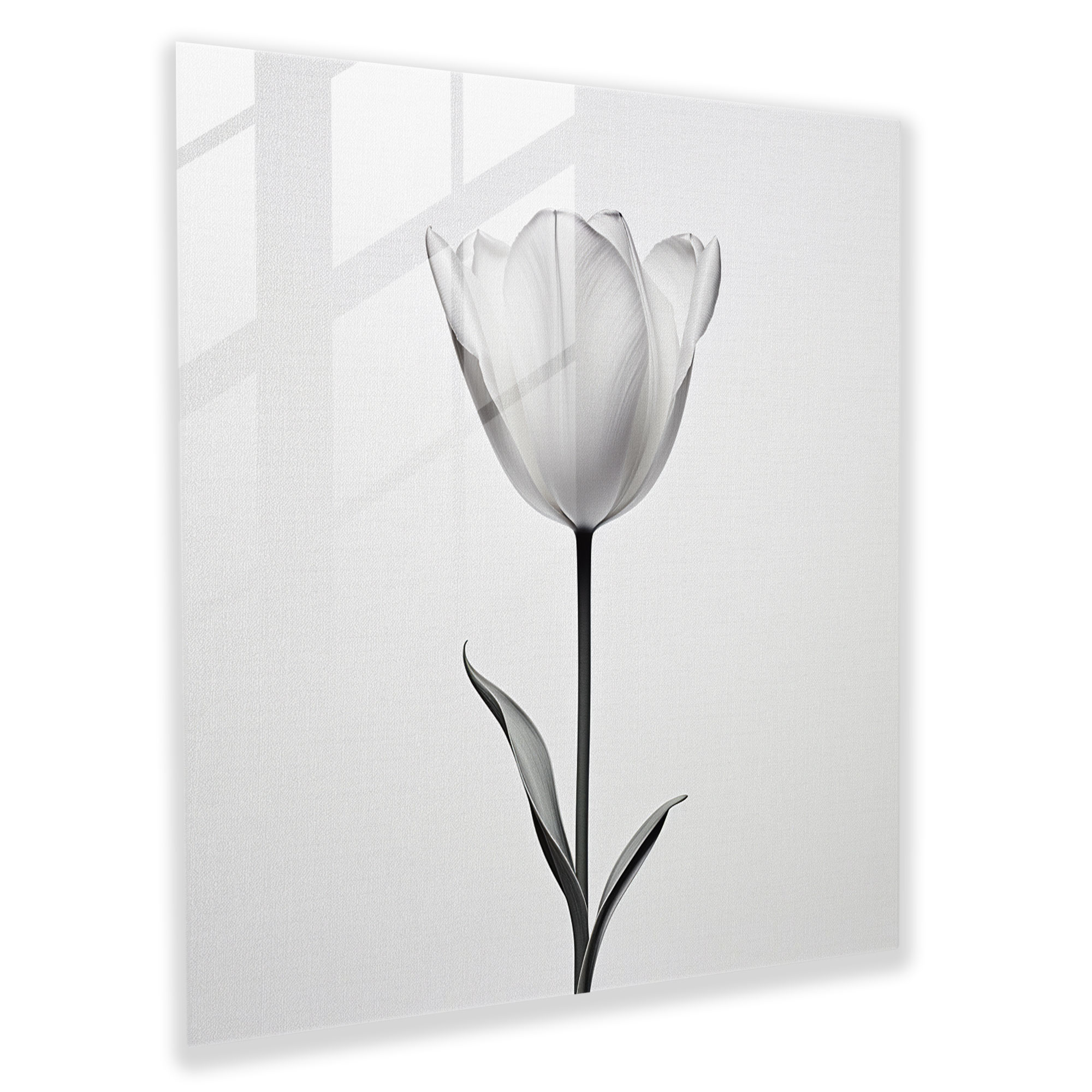 Minimalistic Glass Print of Blooming Tulip for Modern Home Decor