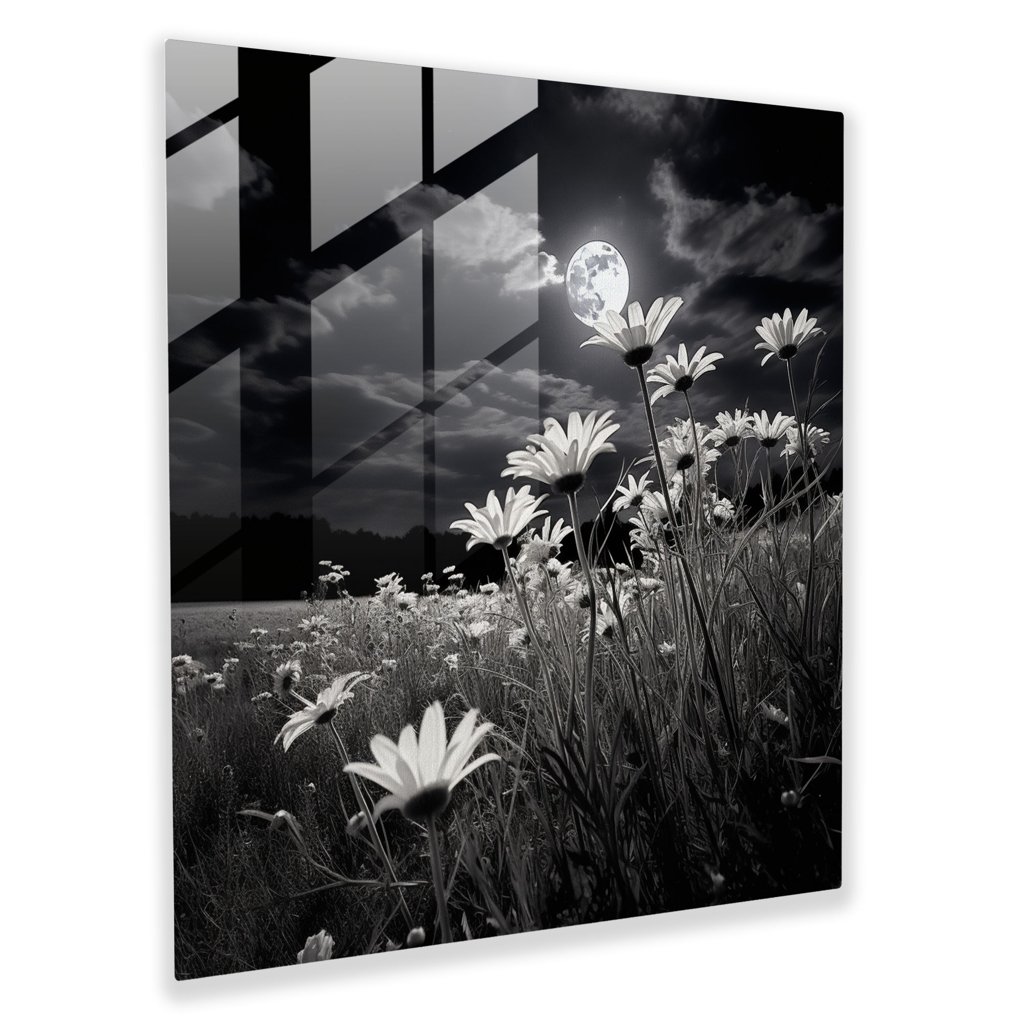 Moonlit Meadows Glass Print - Classic Black and White Photography Glass Wall Art - Modern Artwork