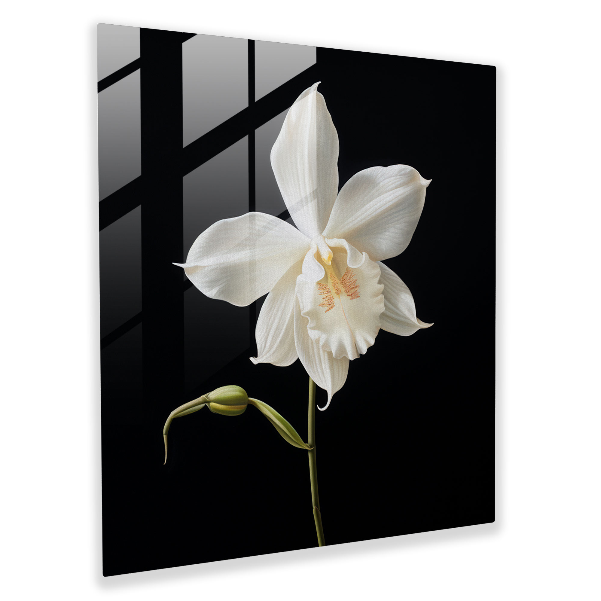 Striking Minimalist Glass Print - Single White Orchid on Black Background - Glass Wall Art - Home Decoration - Wall Decoration - Glass Art - Modern Artwork