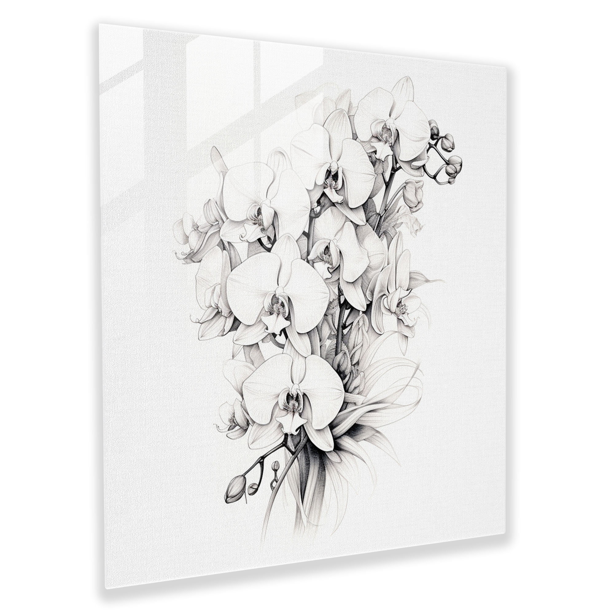Edle Blühende Orchideen Glasbild