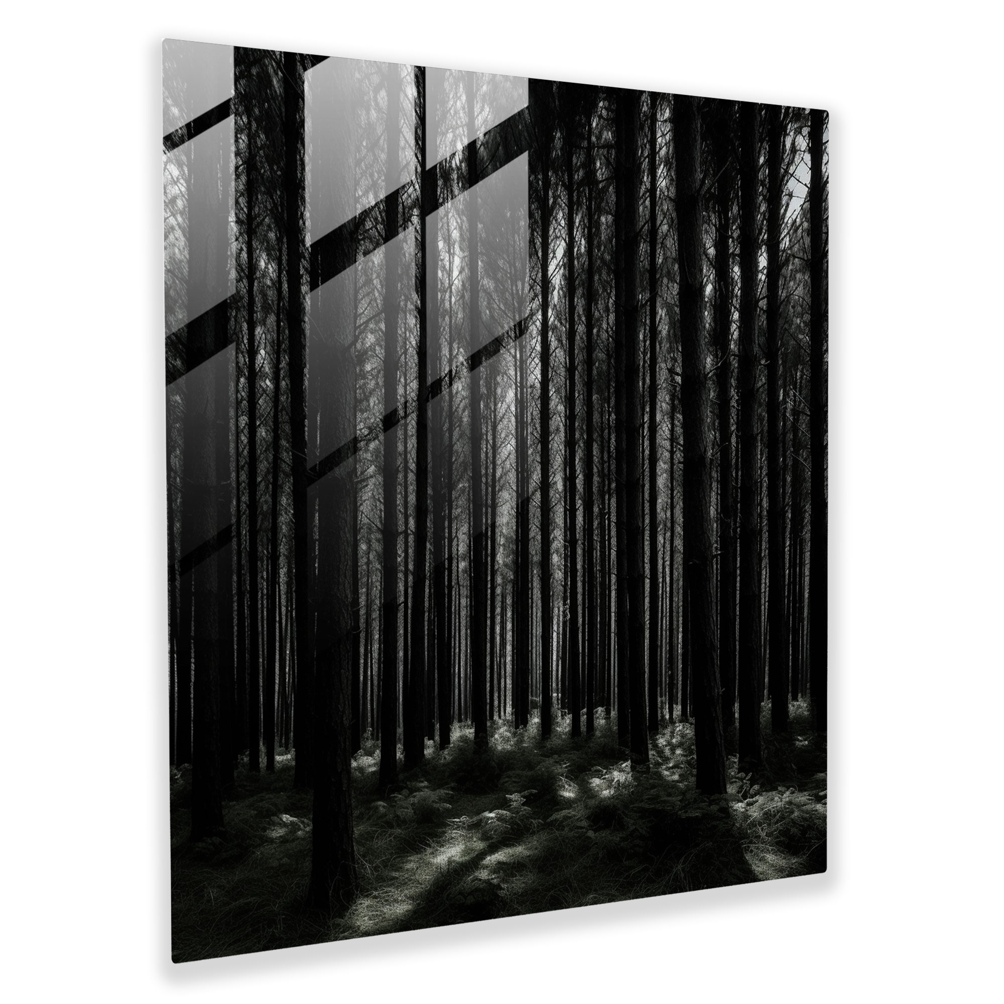 High Contrast Green Pine Glass Print - Green Pine, High Contrast Photograph, Glass Wall Art, Glass Art