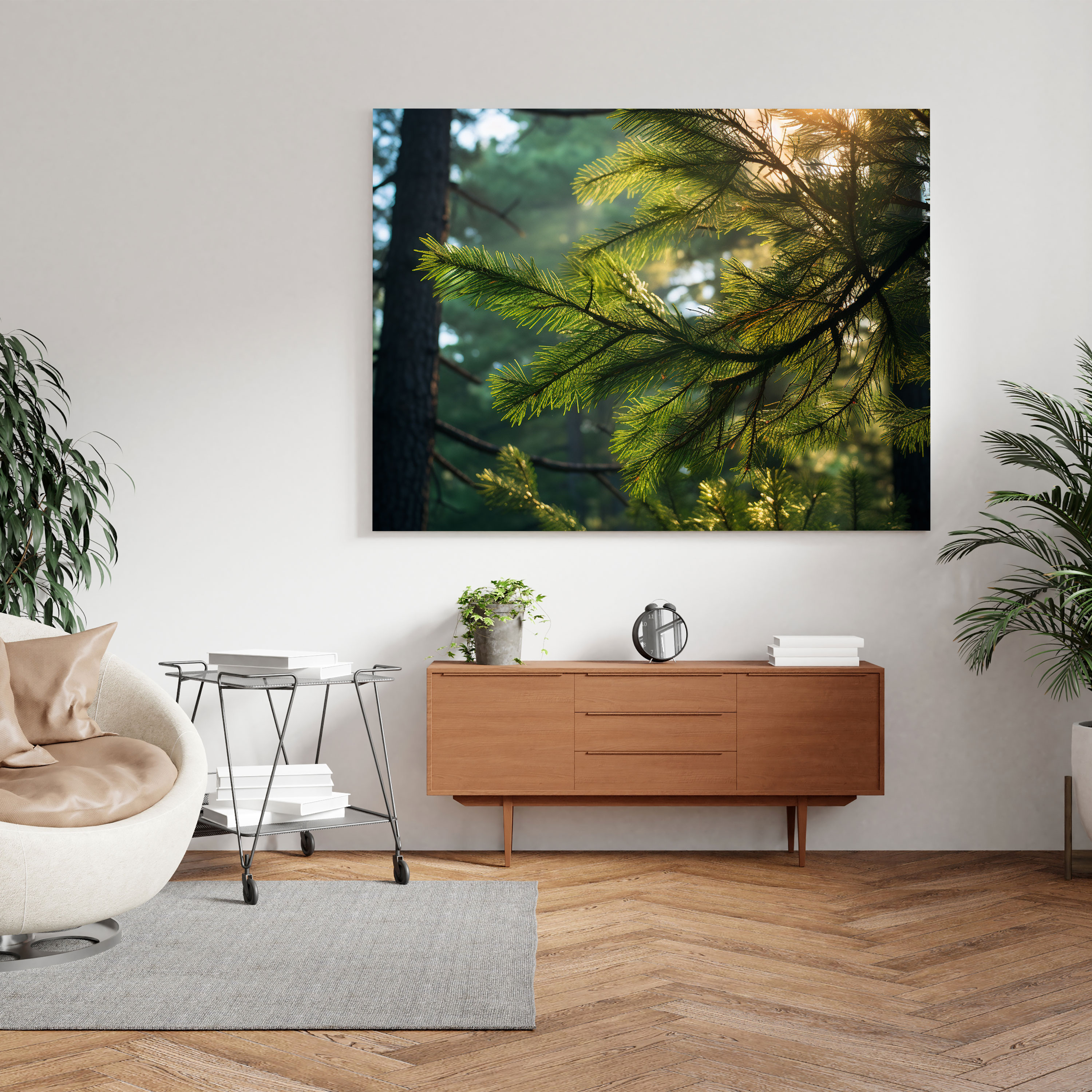Green Pine Wall Decoration - Green Pine, Green Pine Branches, Canvas, Sunlight Streaming