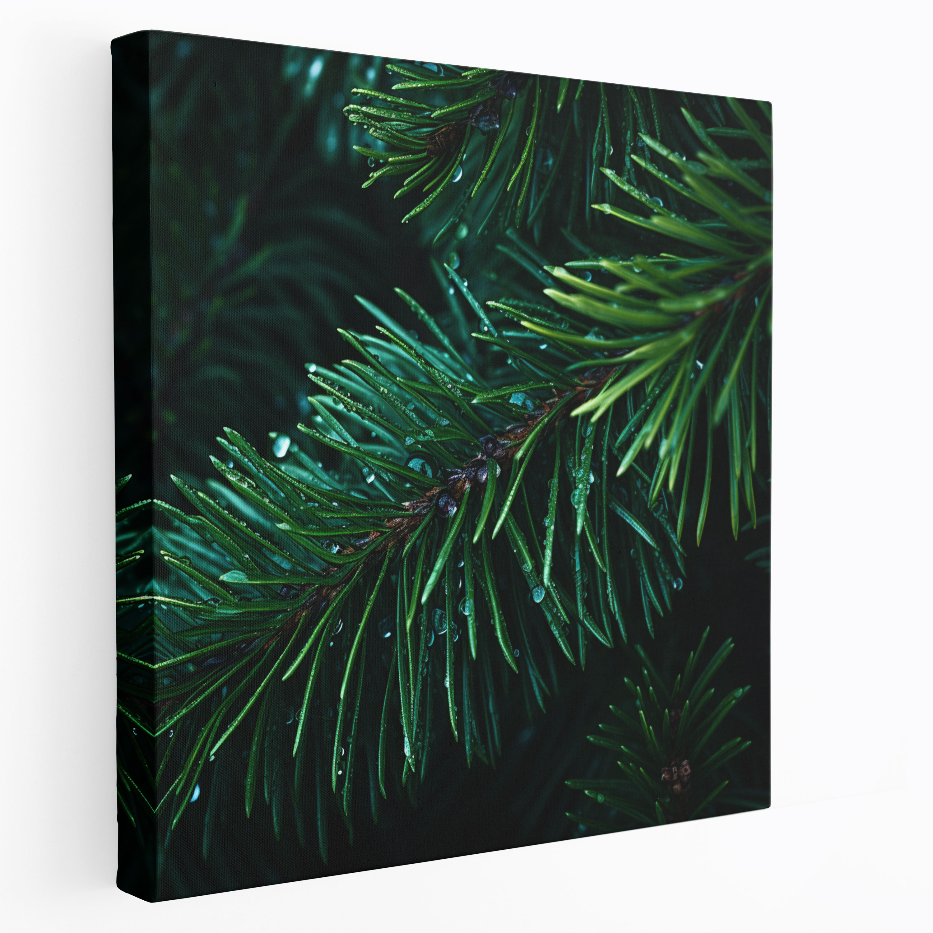 Green Pine Wall Decoration - Green Pine, Canvas Wall Art, Canvas, Wall Decoration