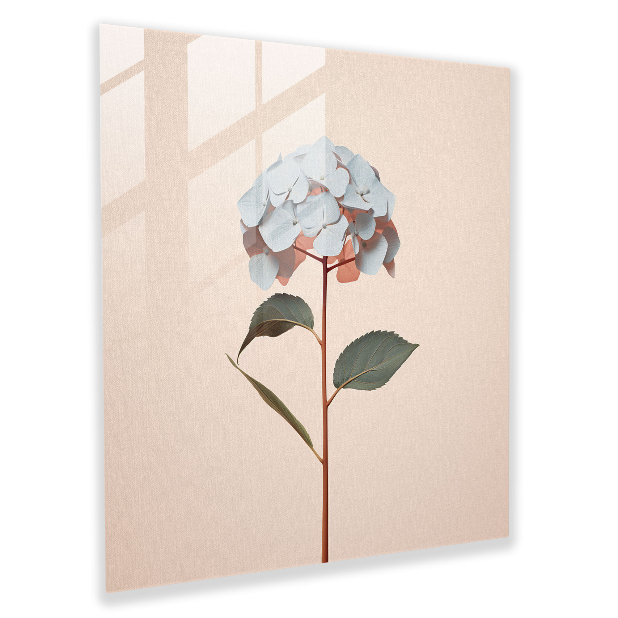 Hydrangea Minimalist Glass Print - Hydrangea, Wall Decoration, Glass Art, Minimalist