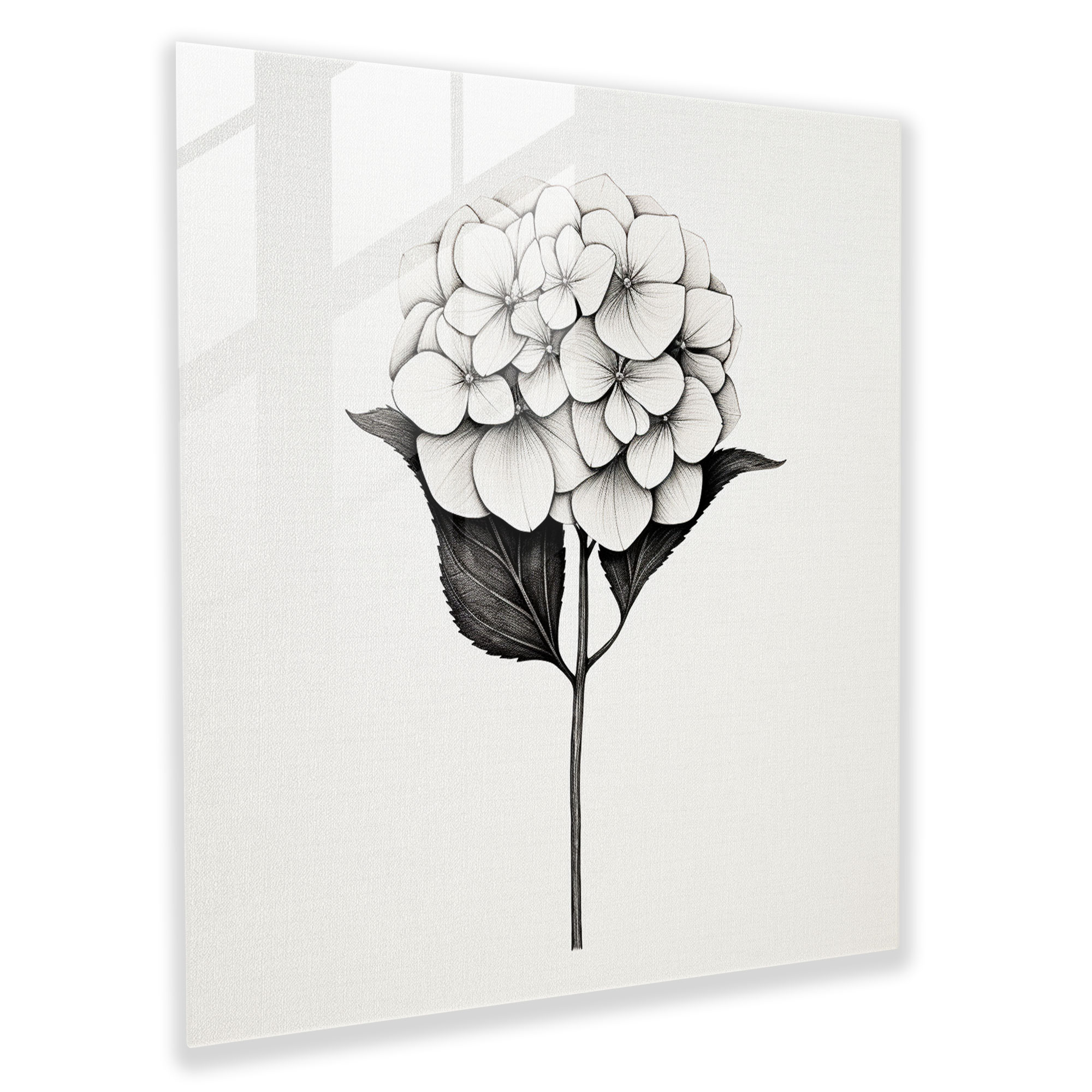 Contemporary Hydrangea Glass Print - Hydrangea, Modern Art, Wall Decoration, Glass Print